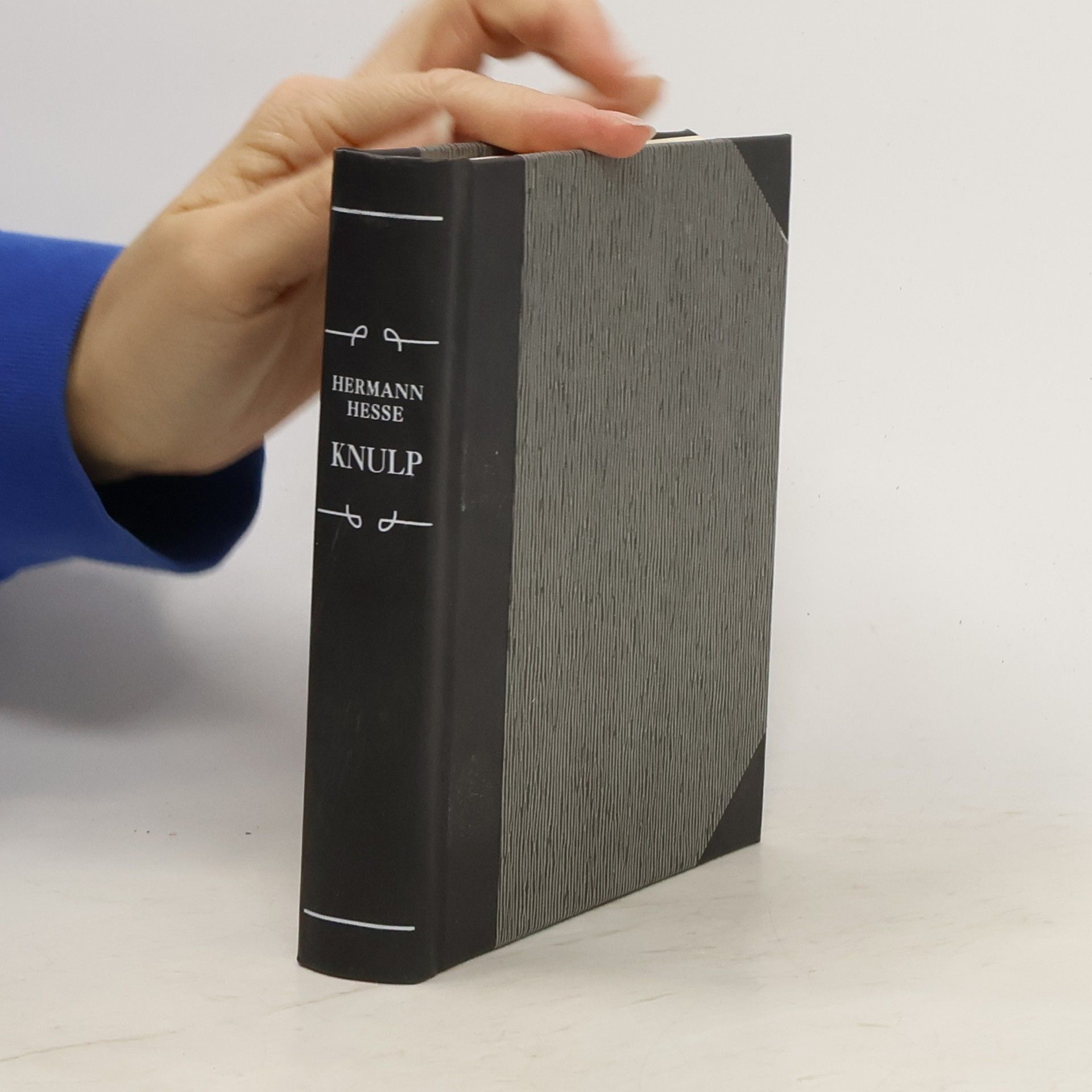 Hermann Hesse Knulp