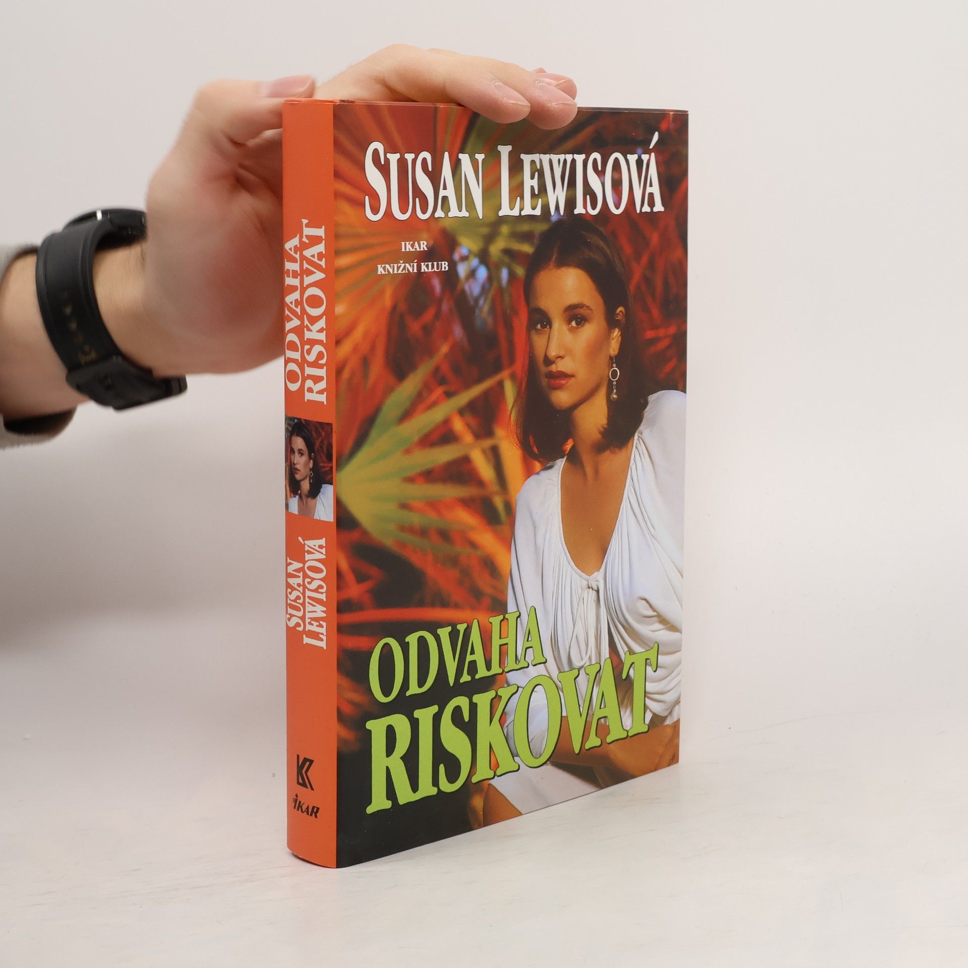 Susan Lewis Honba za sny