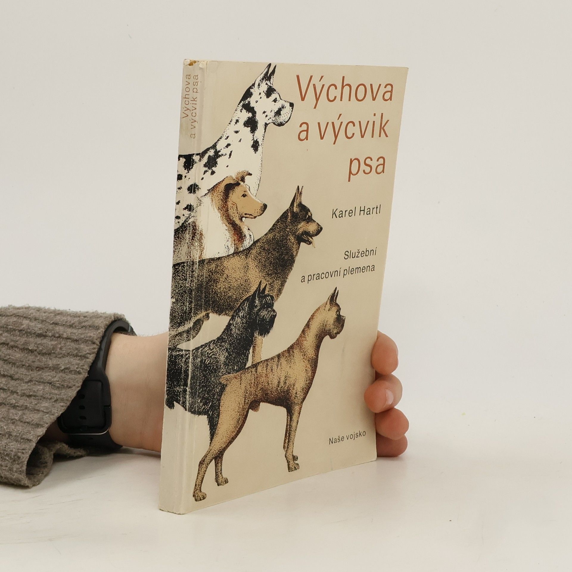 Výchova a výcvik psa