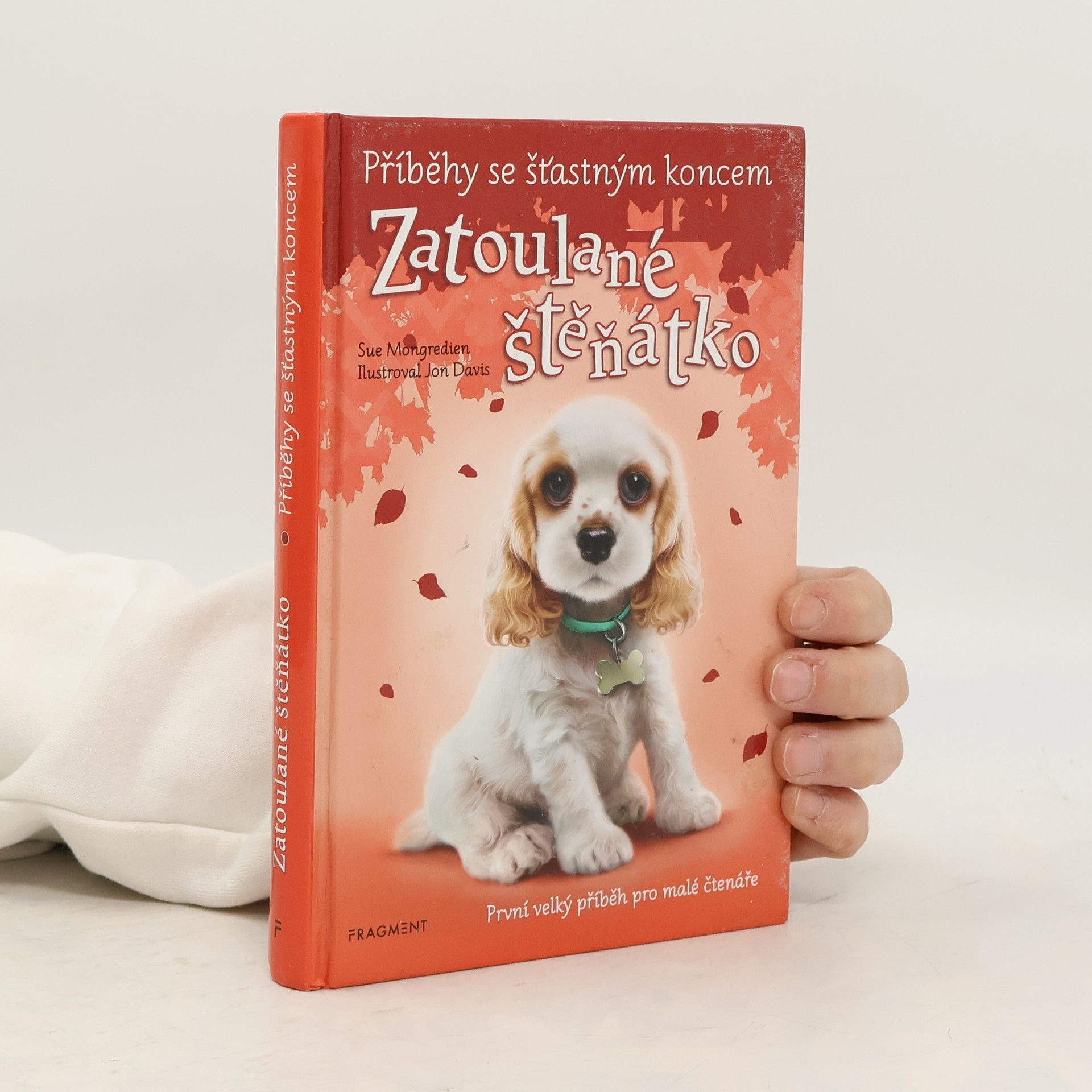 Jon Davis Zatoulané štěňátko