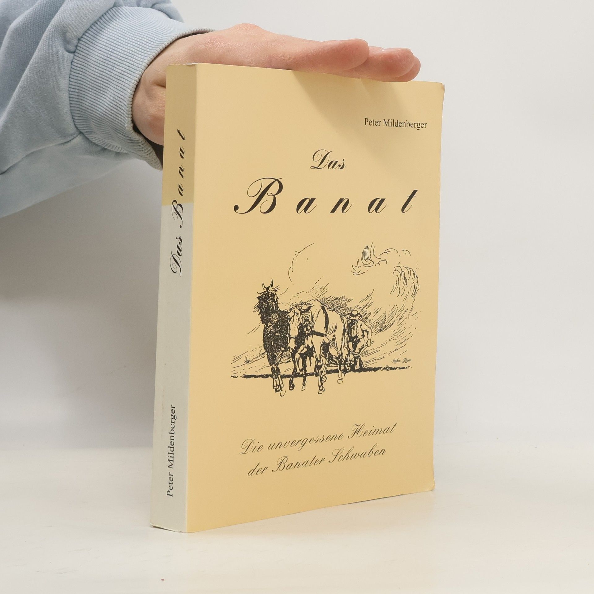 Peter Mildenberger Das Banat