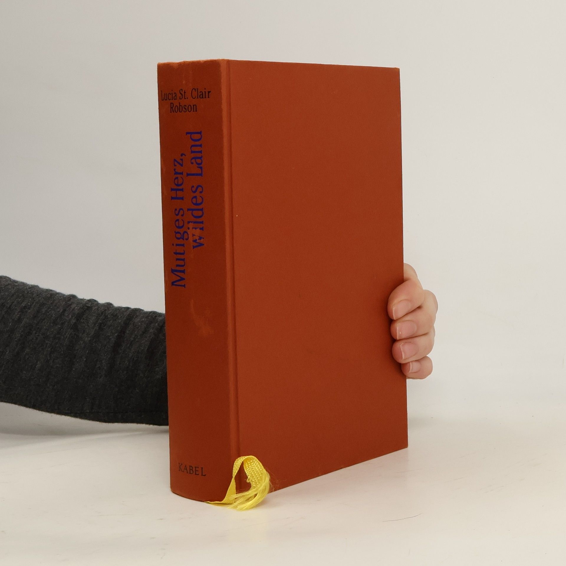 Lucia St. Clair Robson Mutiges Herz, wildes Land