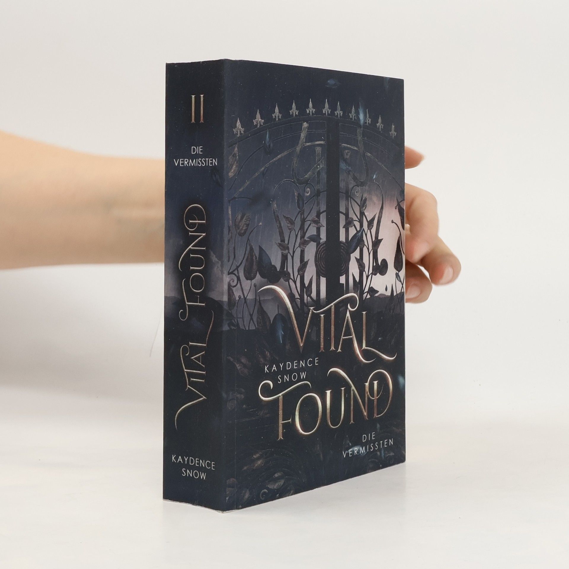 Kaydence Snow Die Evelyn-Maynard-Trilogie - 2: Vital Found – Die Vermissten