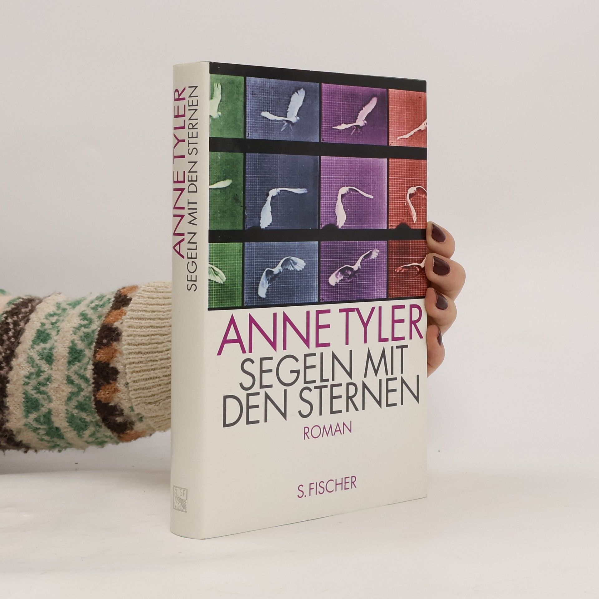 Anne Tyler Segeln mit den Sternen. Roman