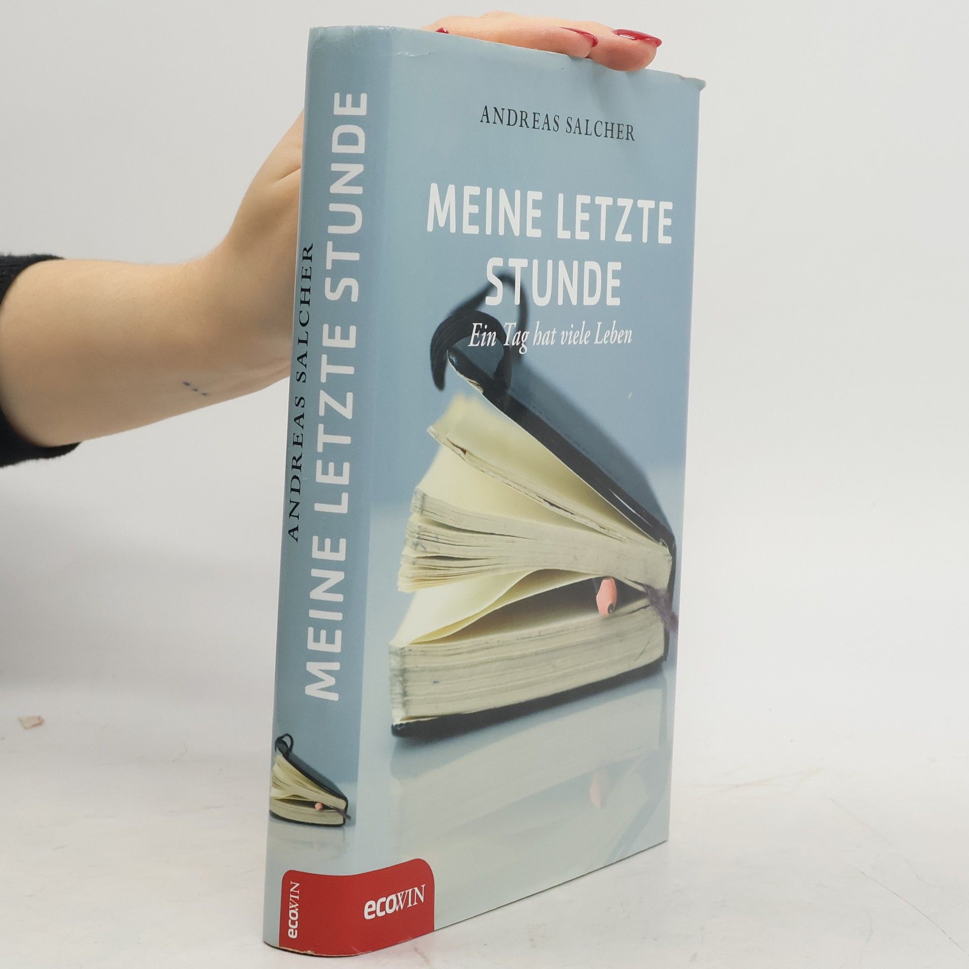 Andreas Salcher Meine letzte Stunde