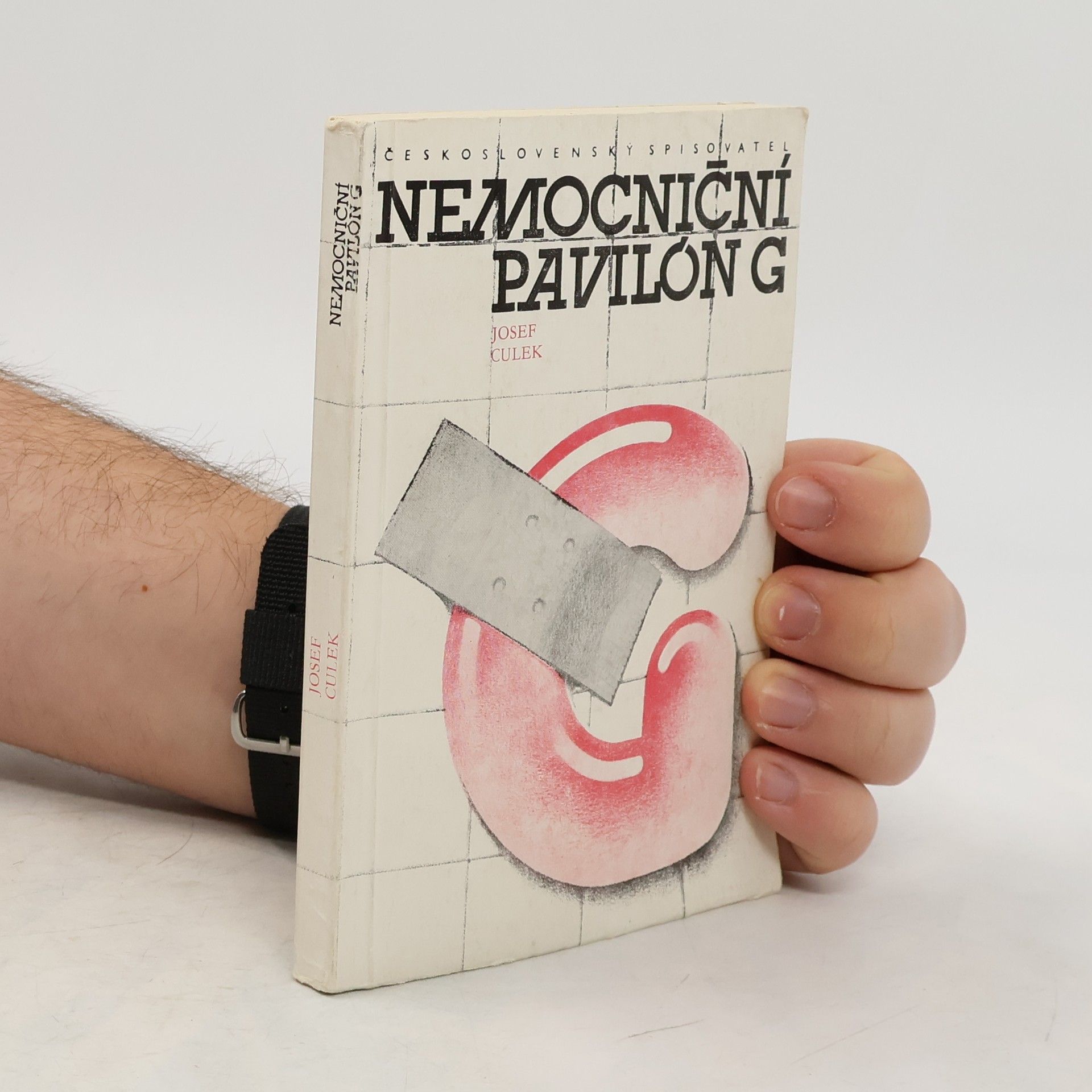 Nemocniční pavilón G