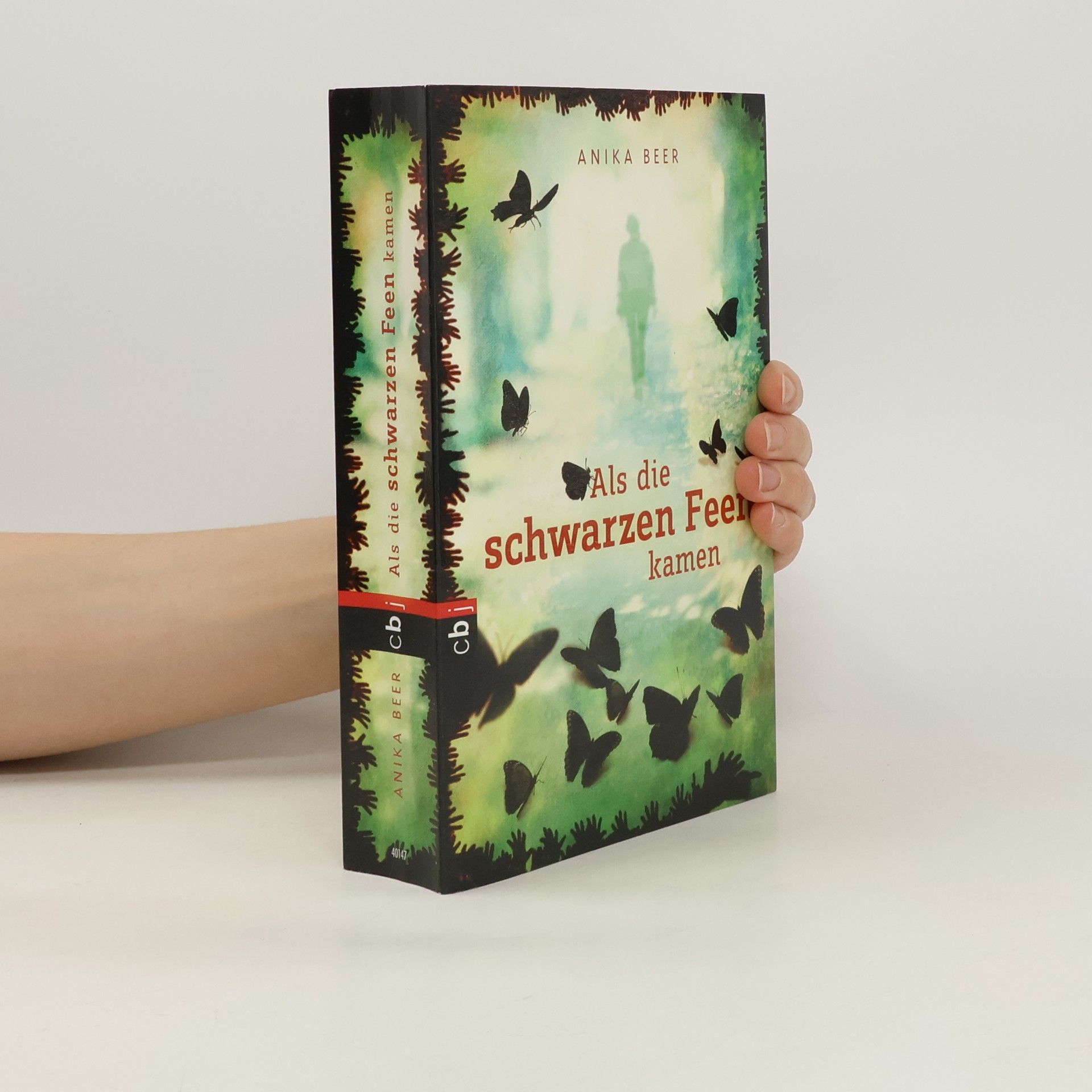 Anika Beer Als die schwarzen Feen kamen