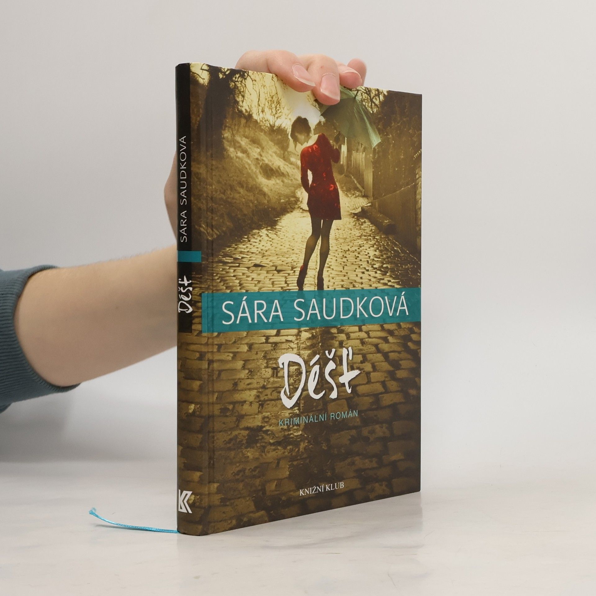 Sára Saudková Déšť