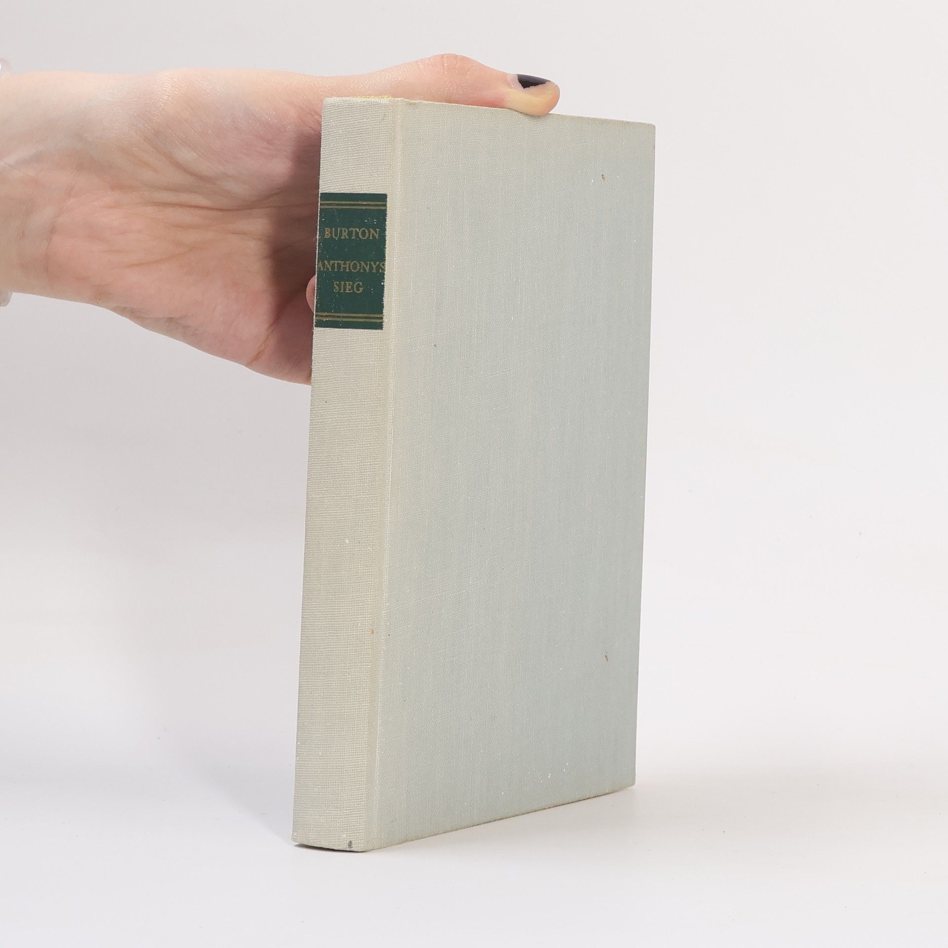 Collectif d'auteurs Anthony’s sieg