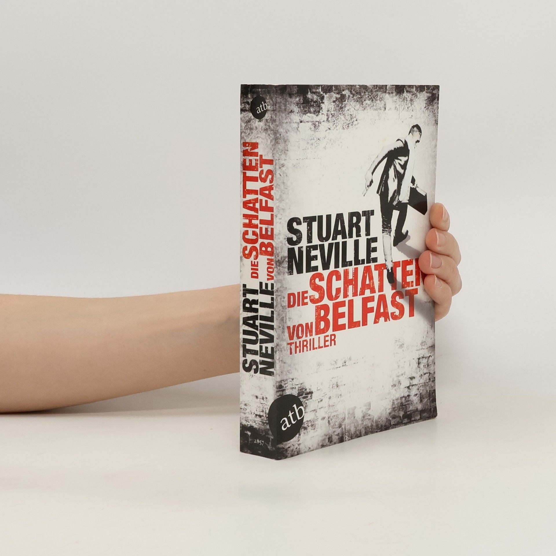Stuart Neville Die Schatten von Belfast