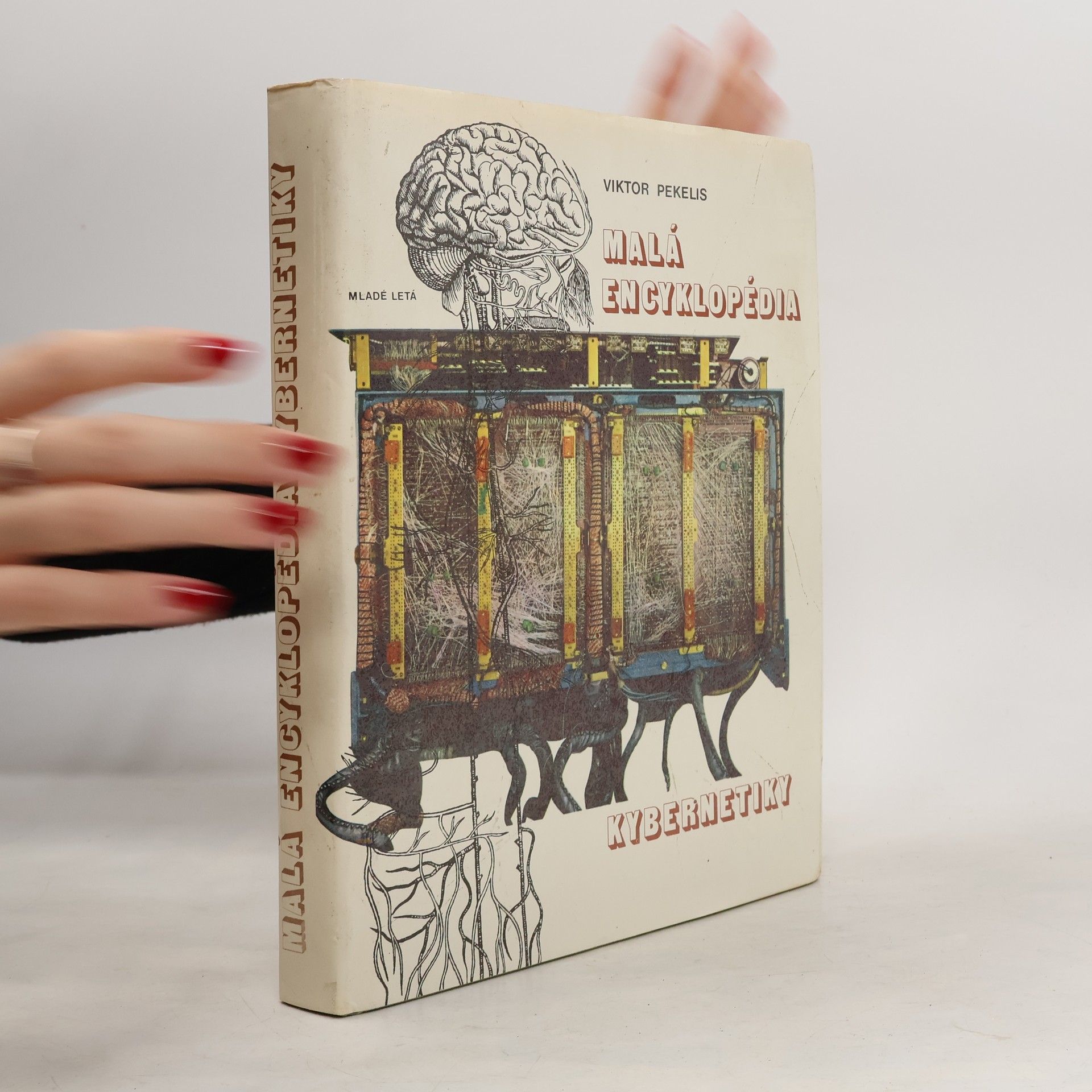 Malá encyklopédia kybernetiky