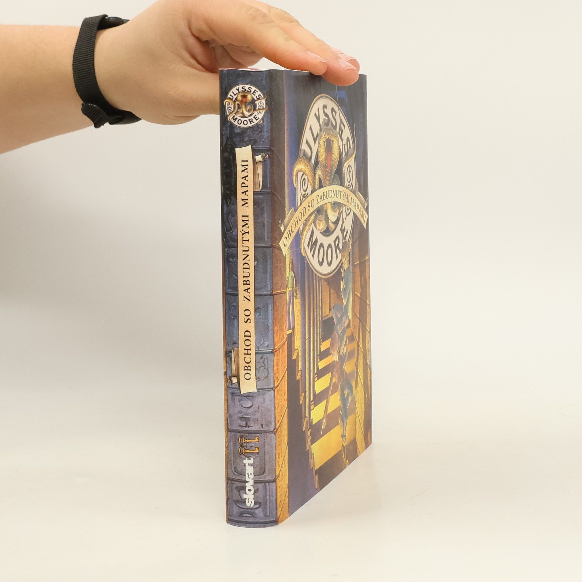 Pierdomenico Baccalario Obchod so zabudnutými mapami