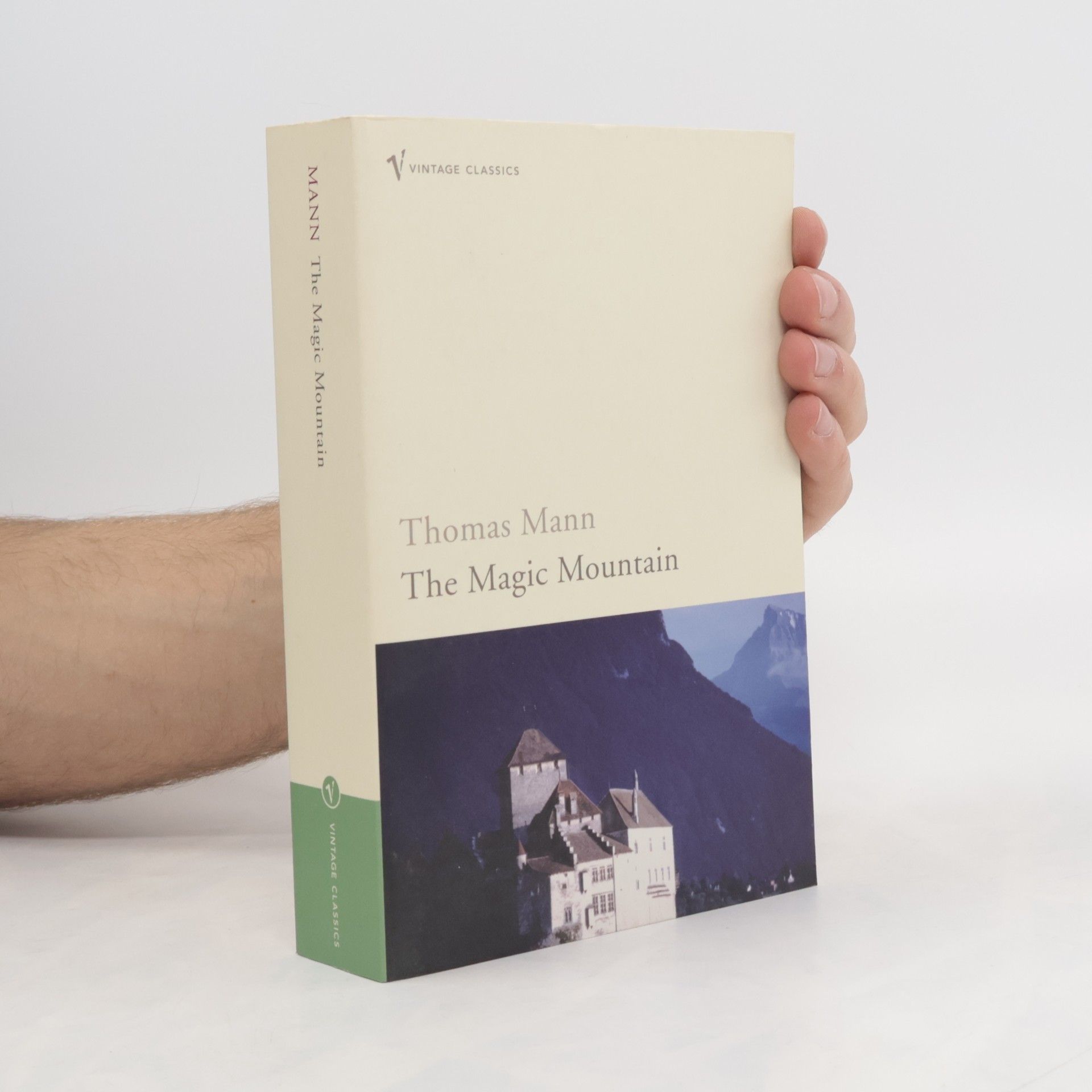 Thomas Mann The Magic Mountain