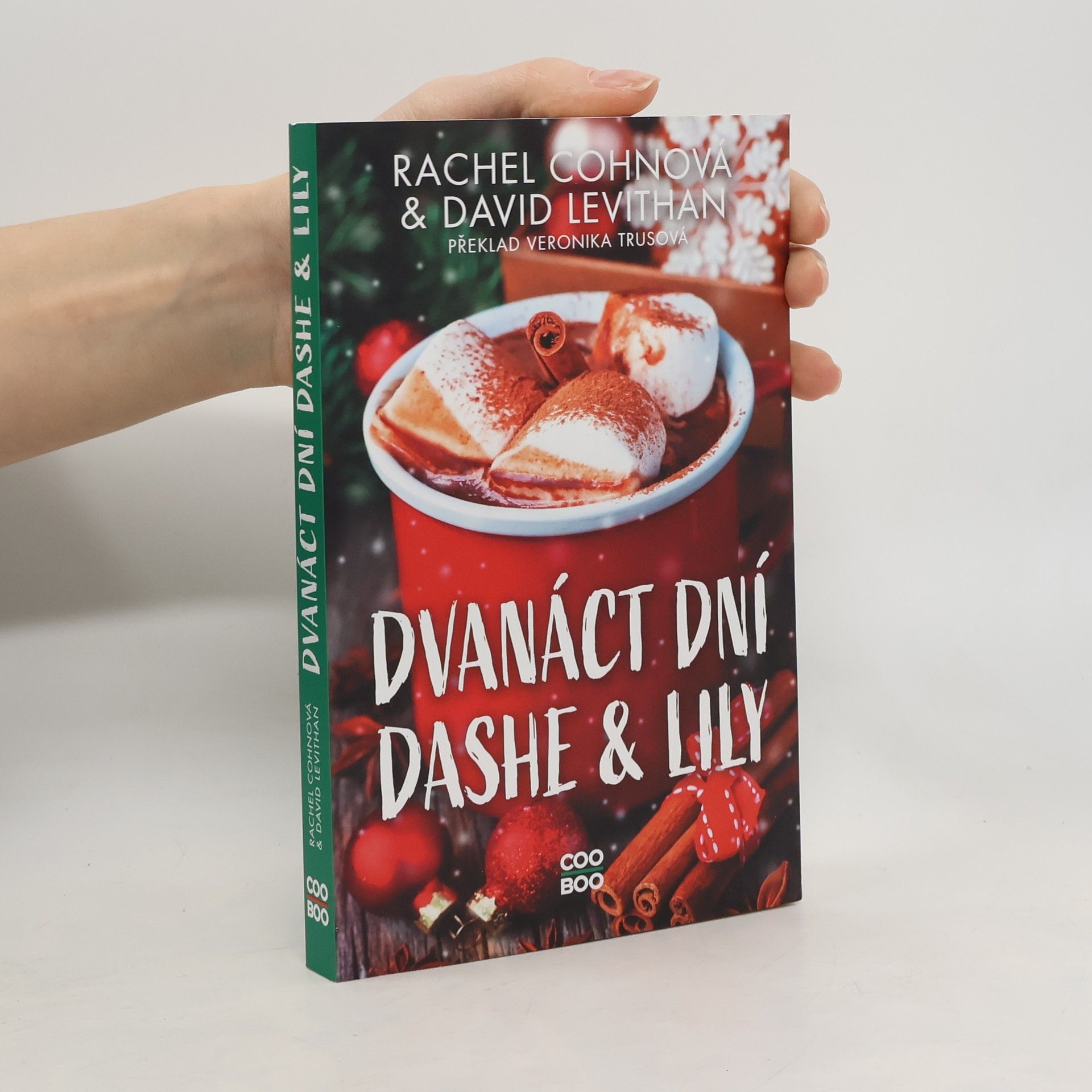 Dvanáct dní Dashe & Lily