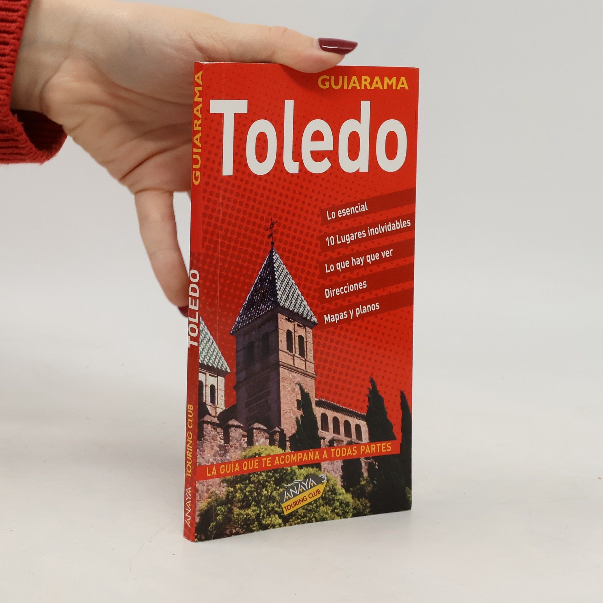 Fernando De Giles Pacheco Toledo