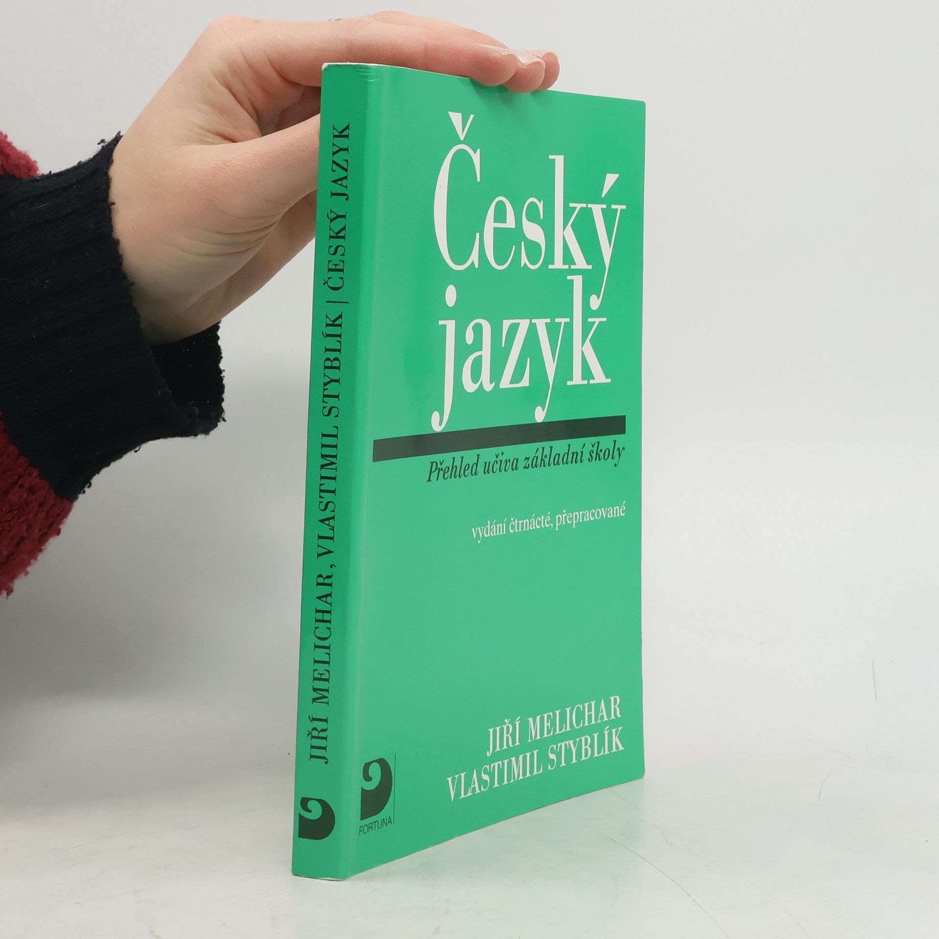 Český jazyk. Přehled učiva základní školy s cvičeními a klíčem