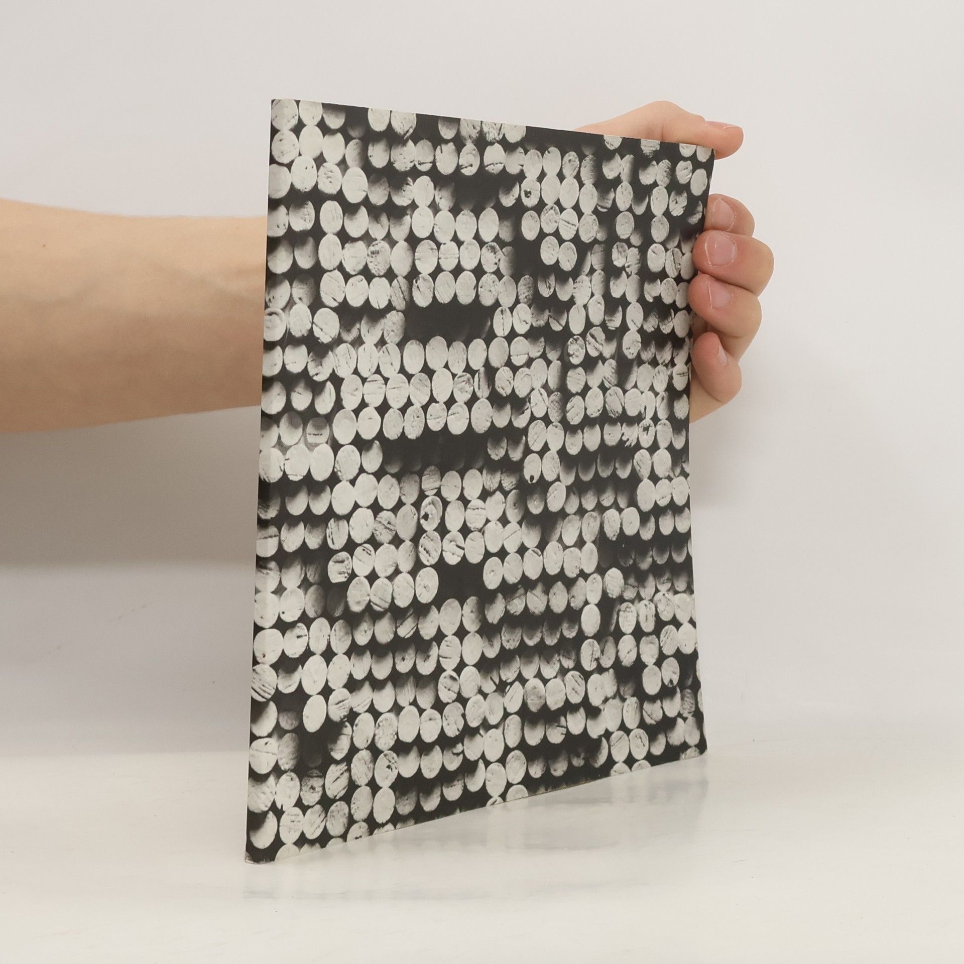 Radek Kratina: Idea con variazioni