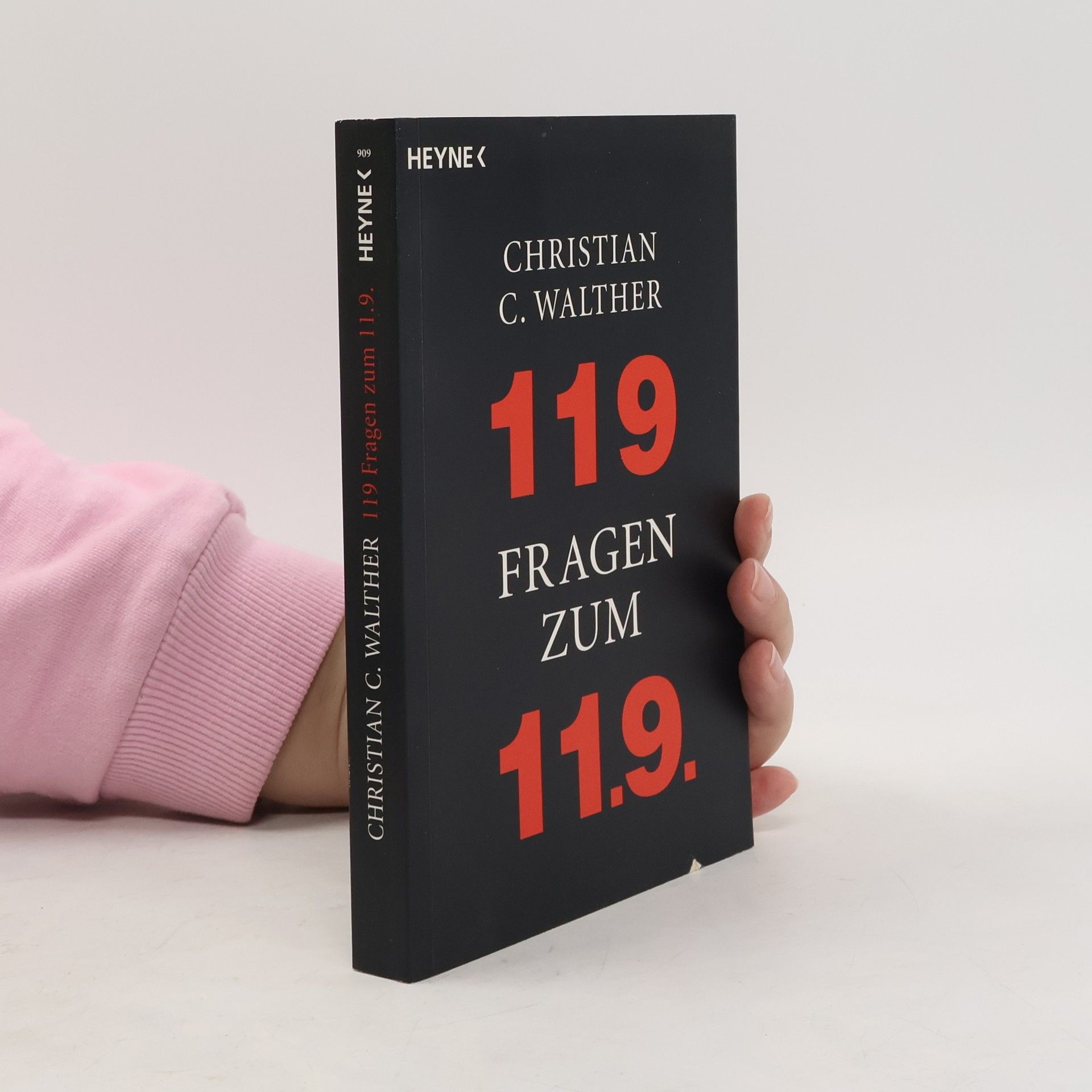 Christoph von Imhoff 119 Fragen zum 11.9.