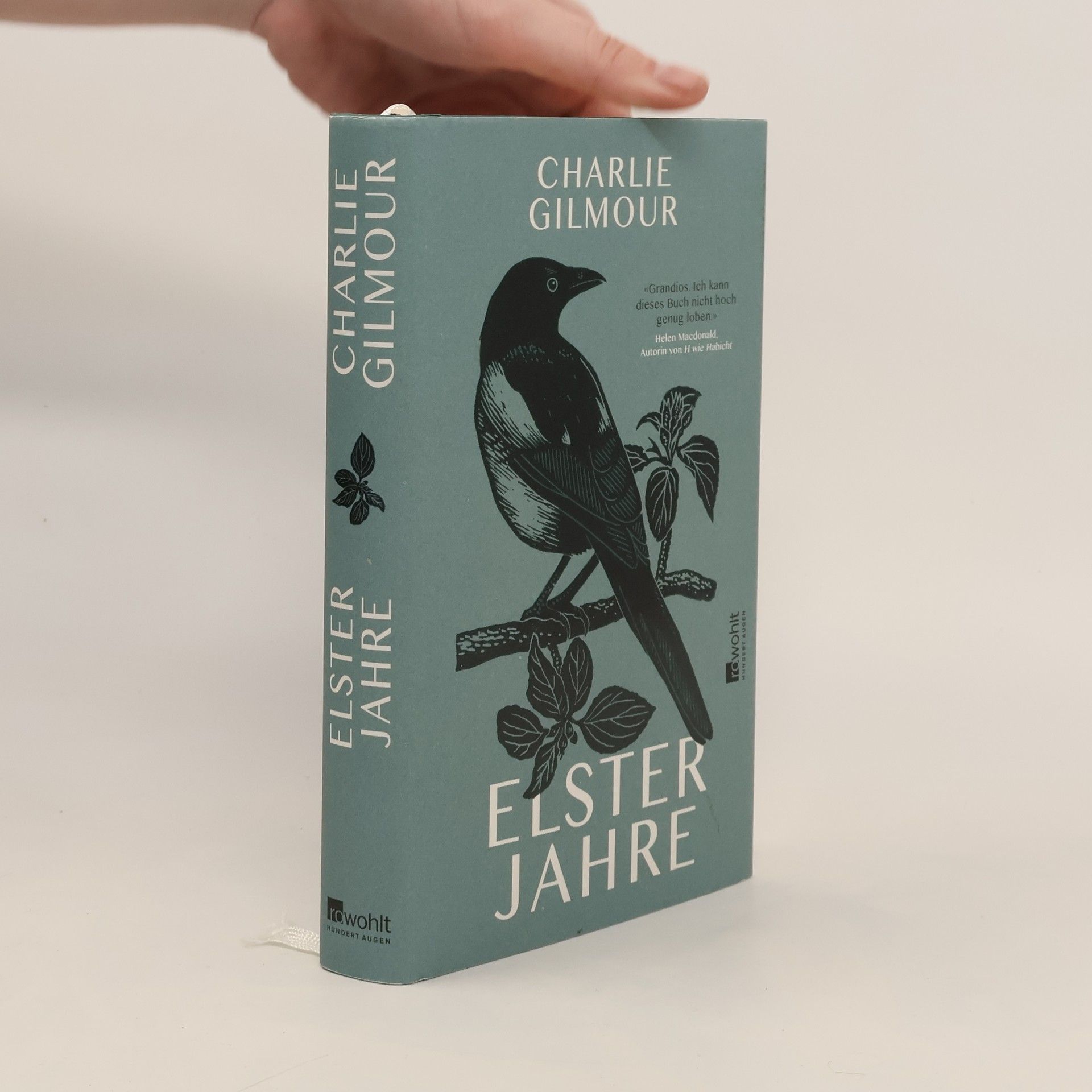 Charlie Gilmour Elsterjahre