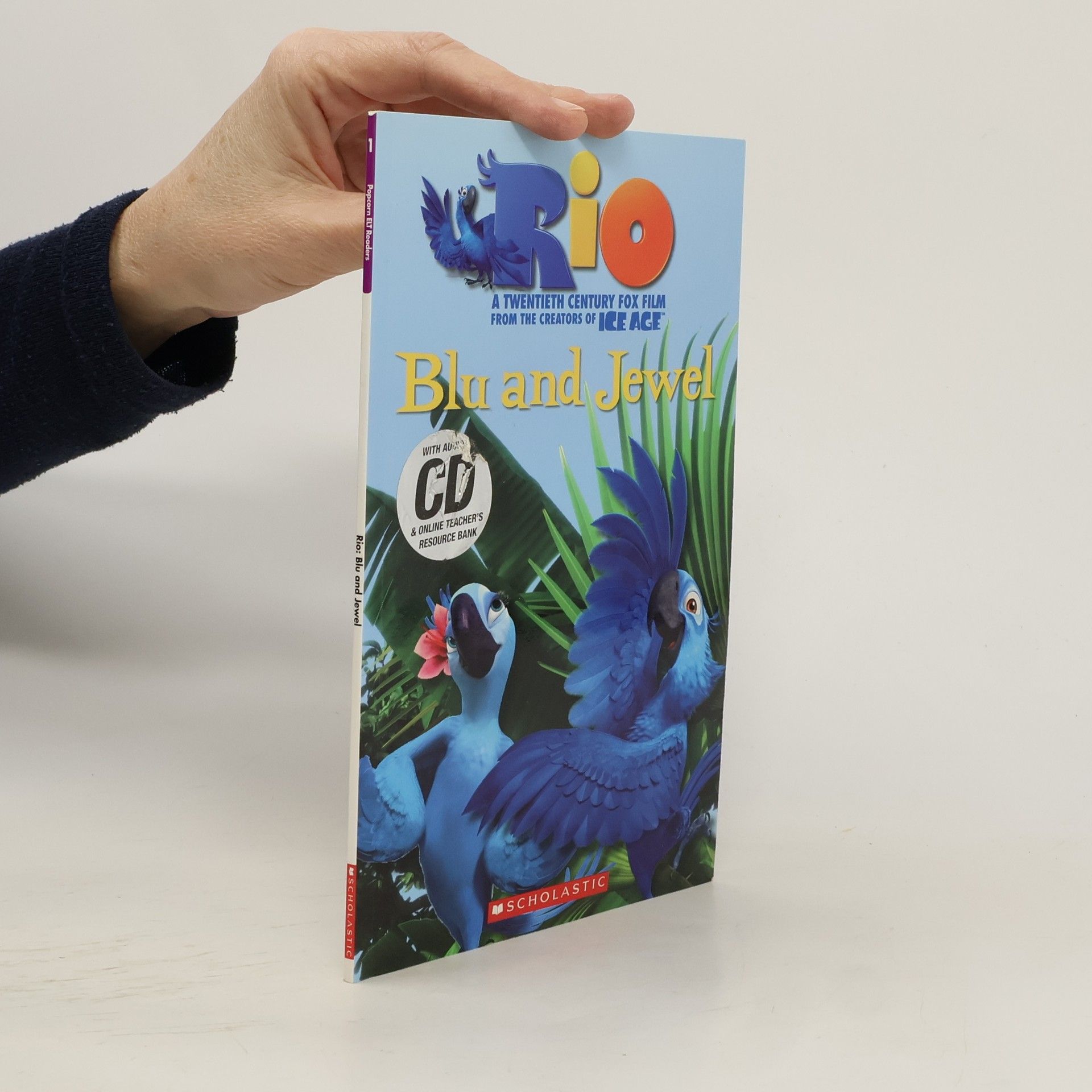 Fiona Davis Popcorn ELT Readers - 1: Rio