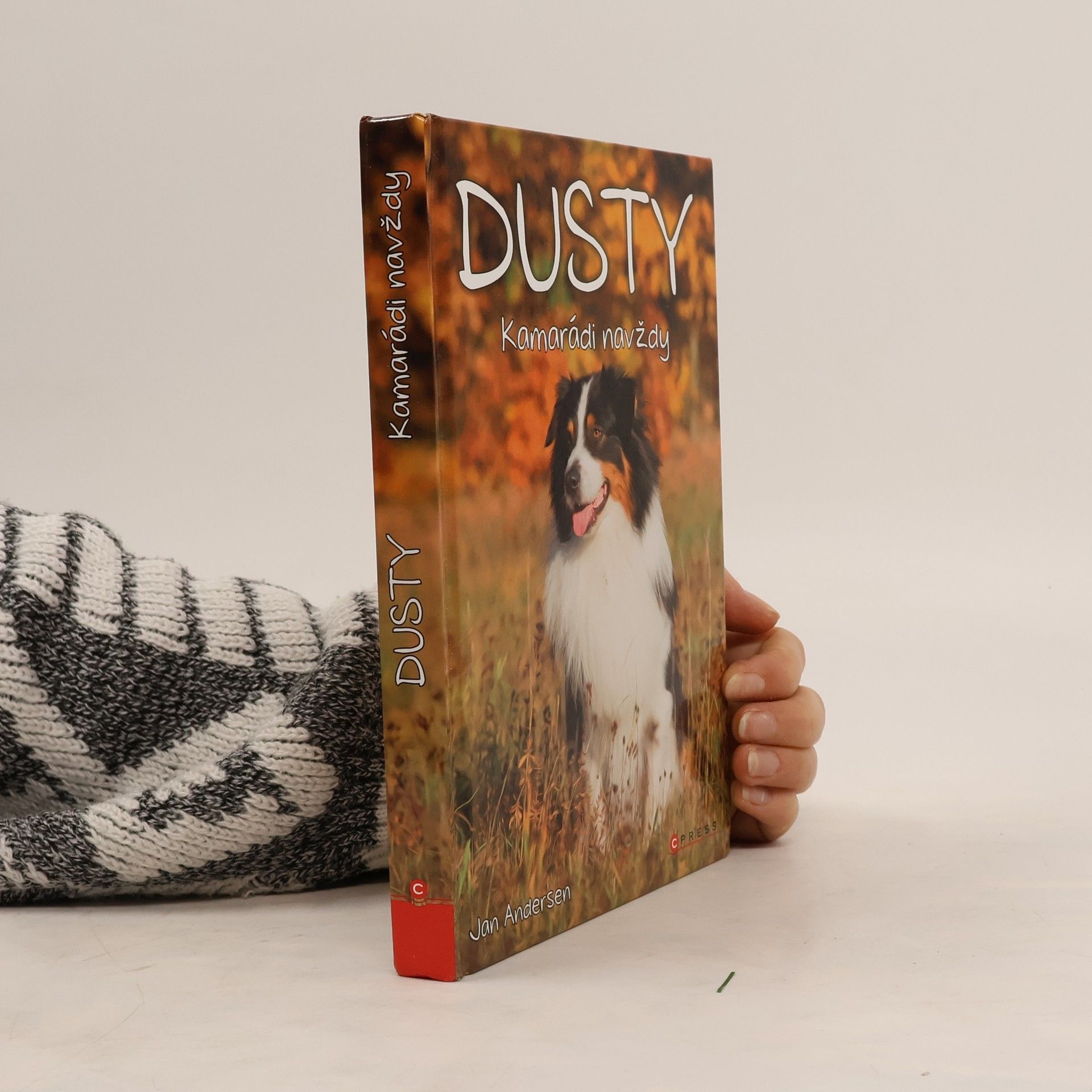 Dusty: Kamarádi navždy