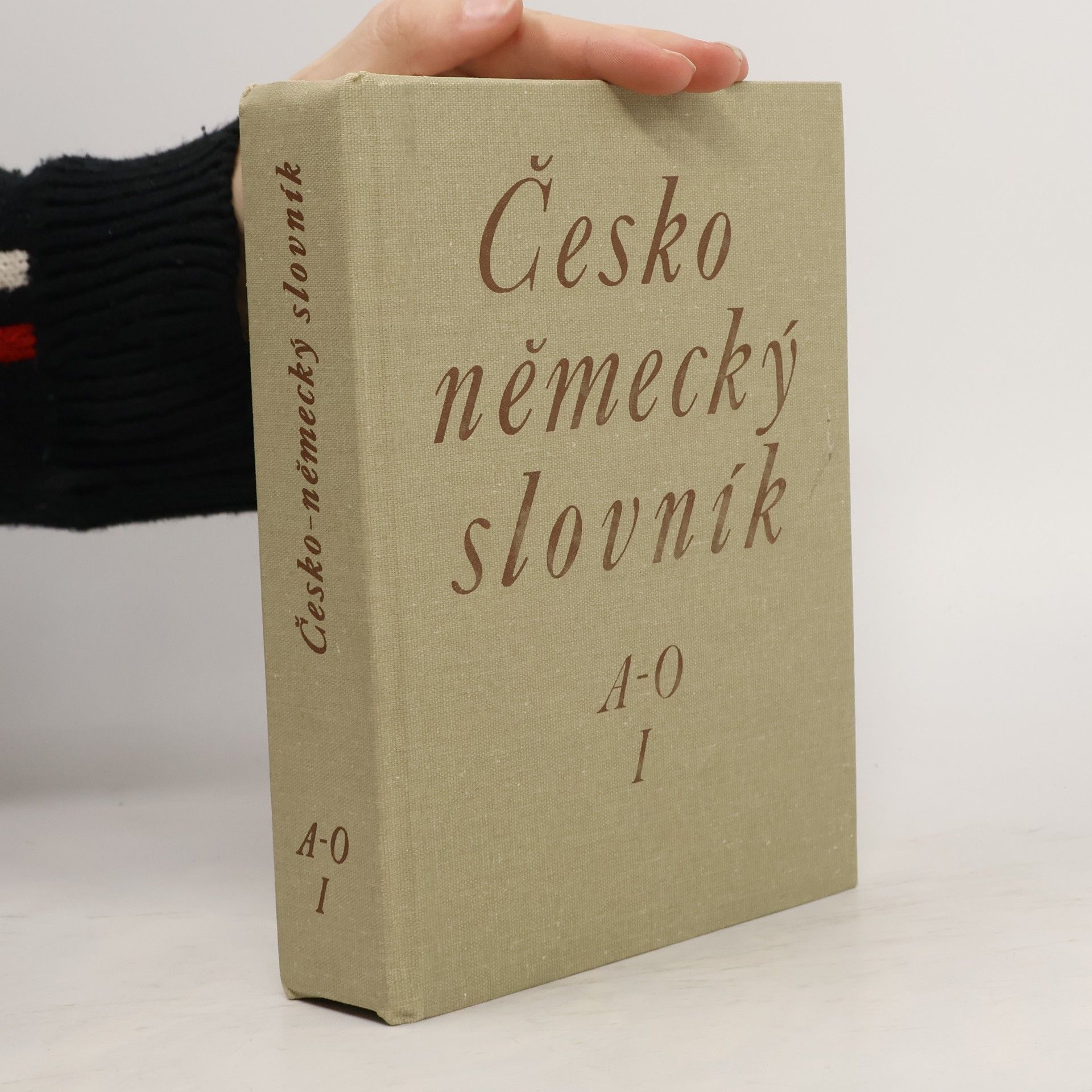 Autorenkollektiv Česko-německý slovník 1. díl A-O