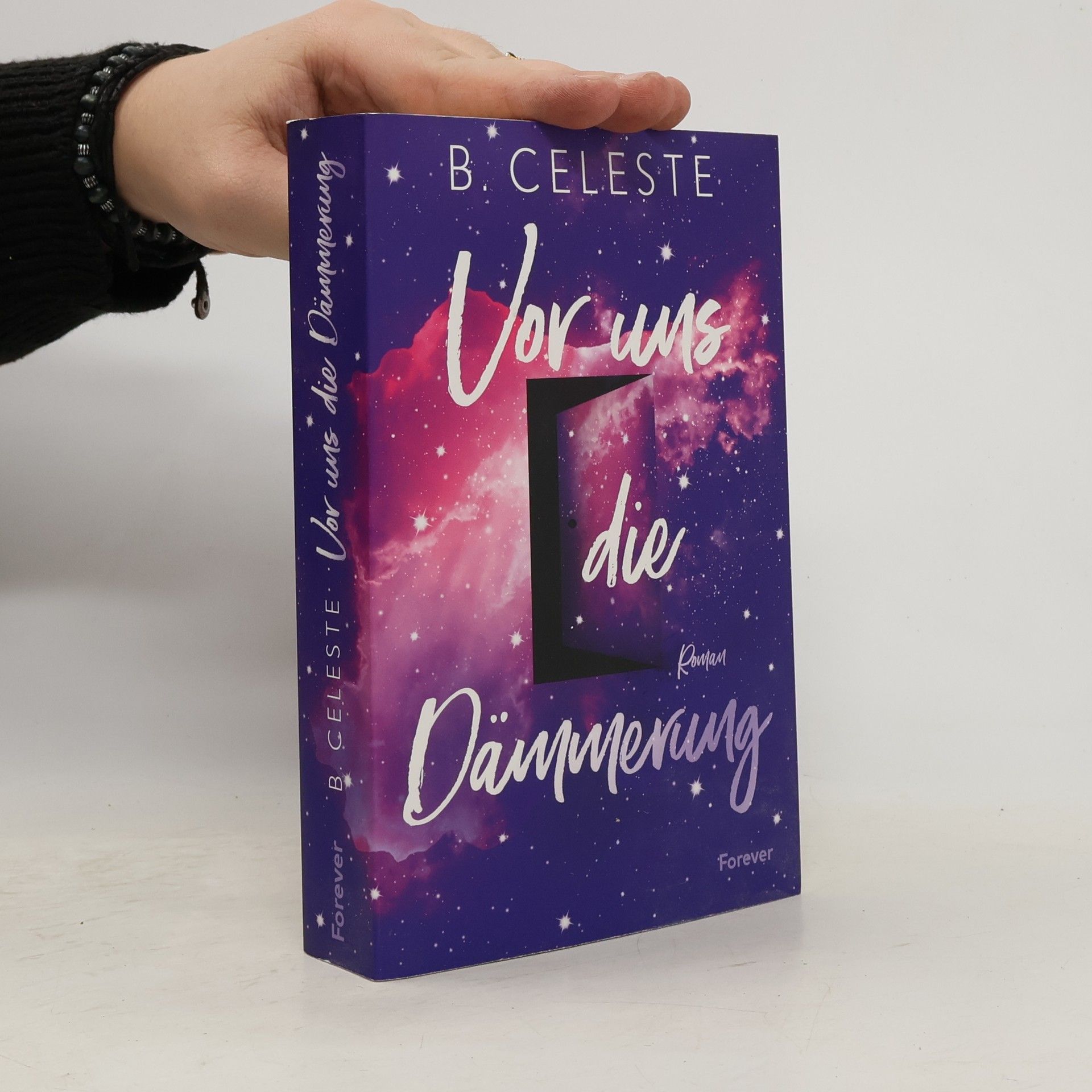 Vor uns die Dämmerung