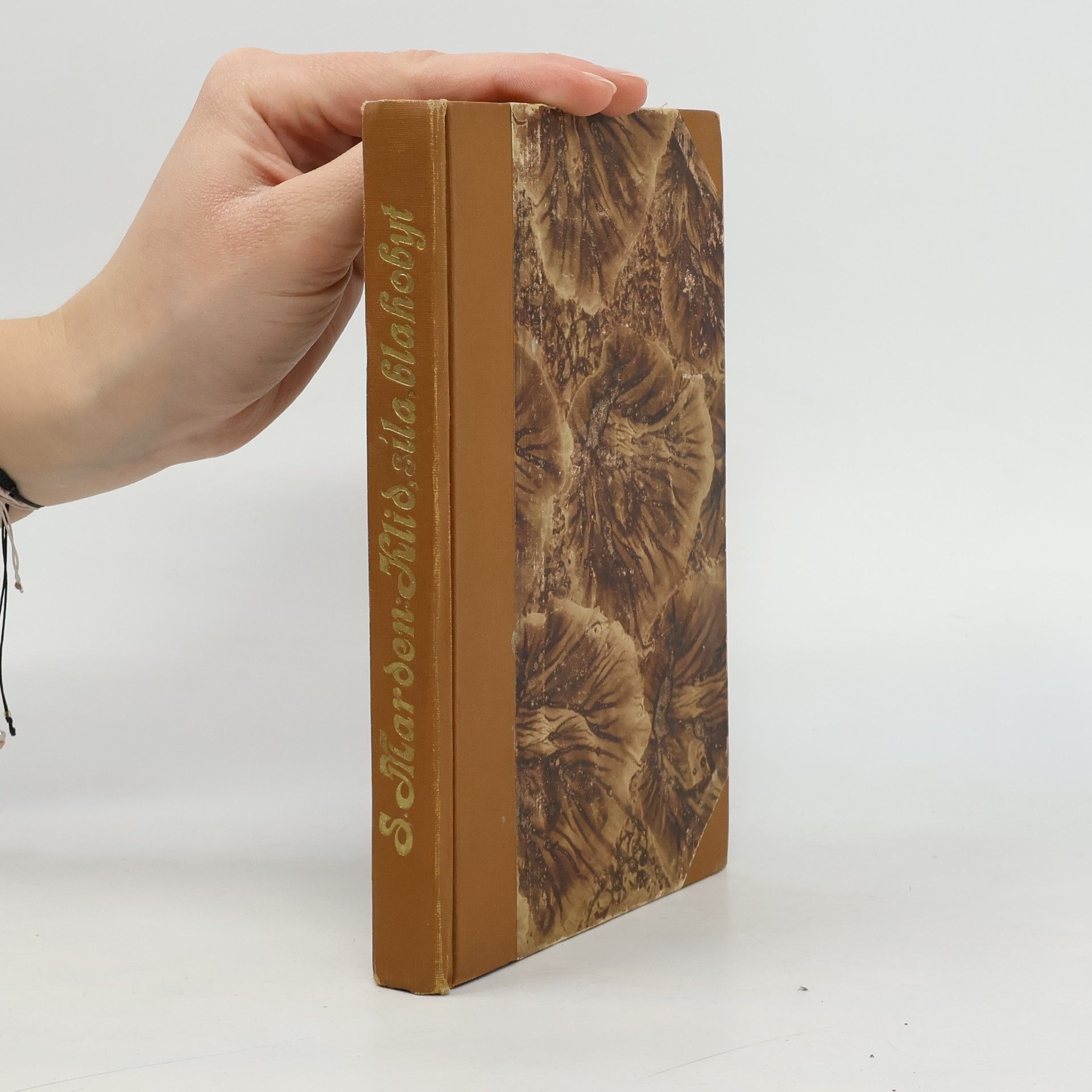 Swett Marden Klid, síla, blahobyt