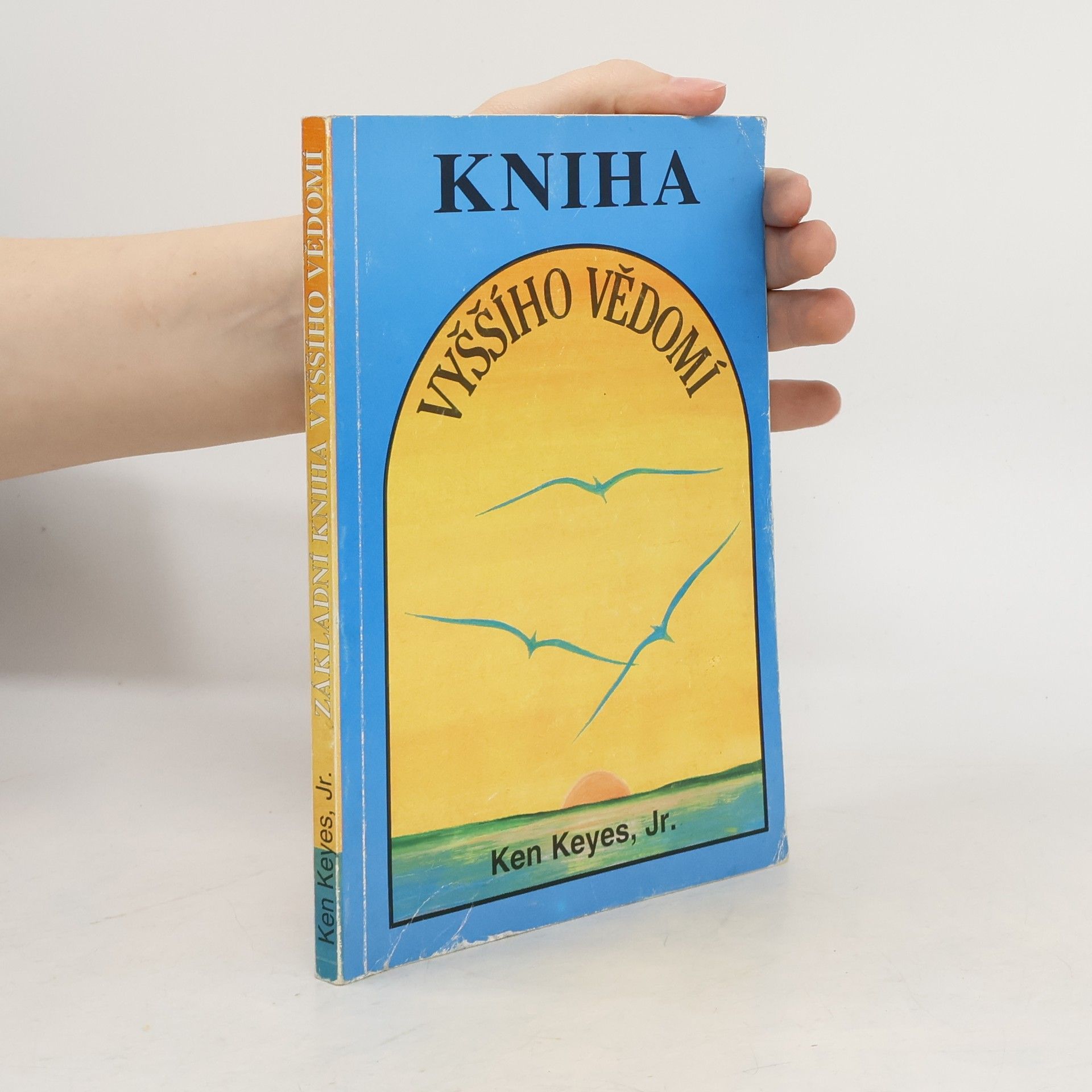 Ken Keyes Základní kniha vyššího vědomí