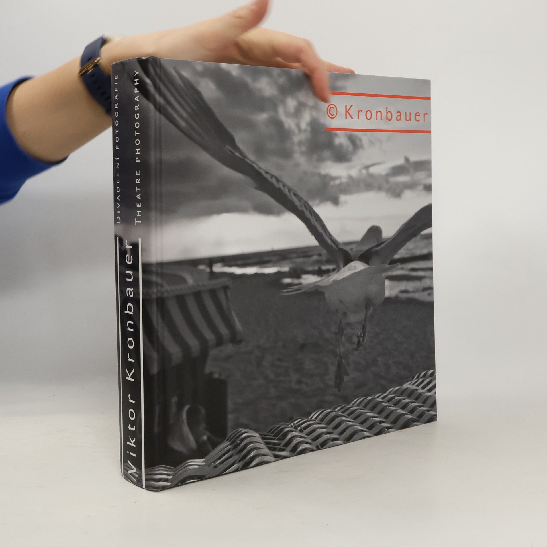 Viktor Kronbauer Viktor Kronbauer - Divadelní fotografie