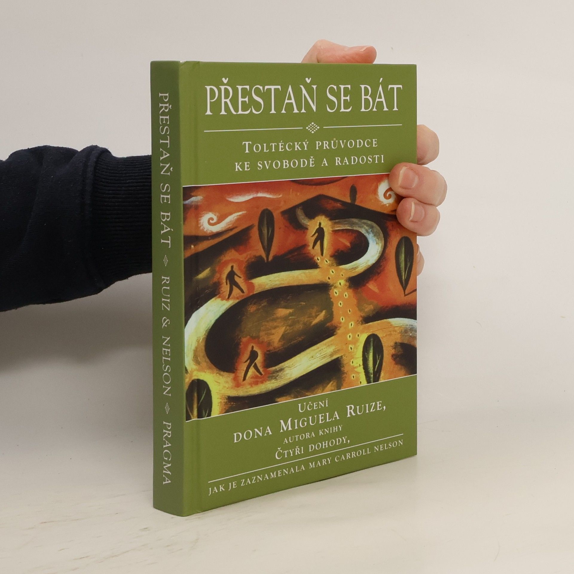 Mary Carroll Nelson Přestaň se bát