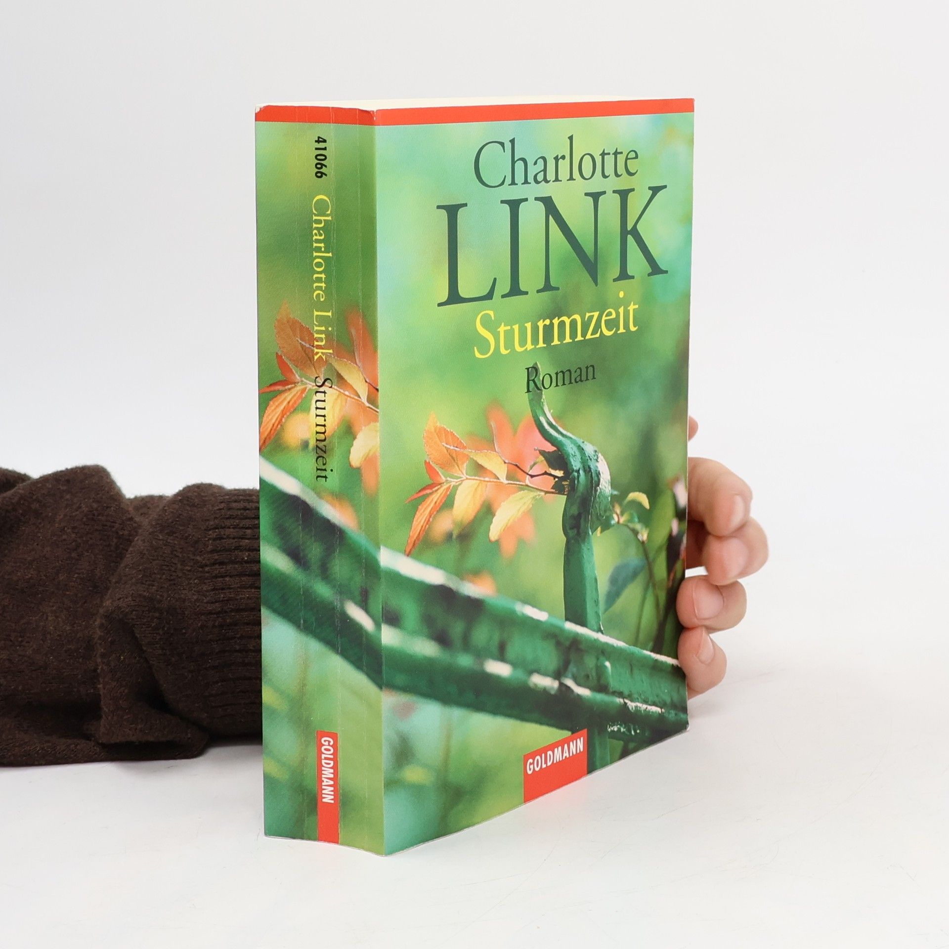 Charlotte Link Sturmzeit