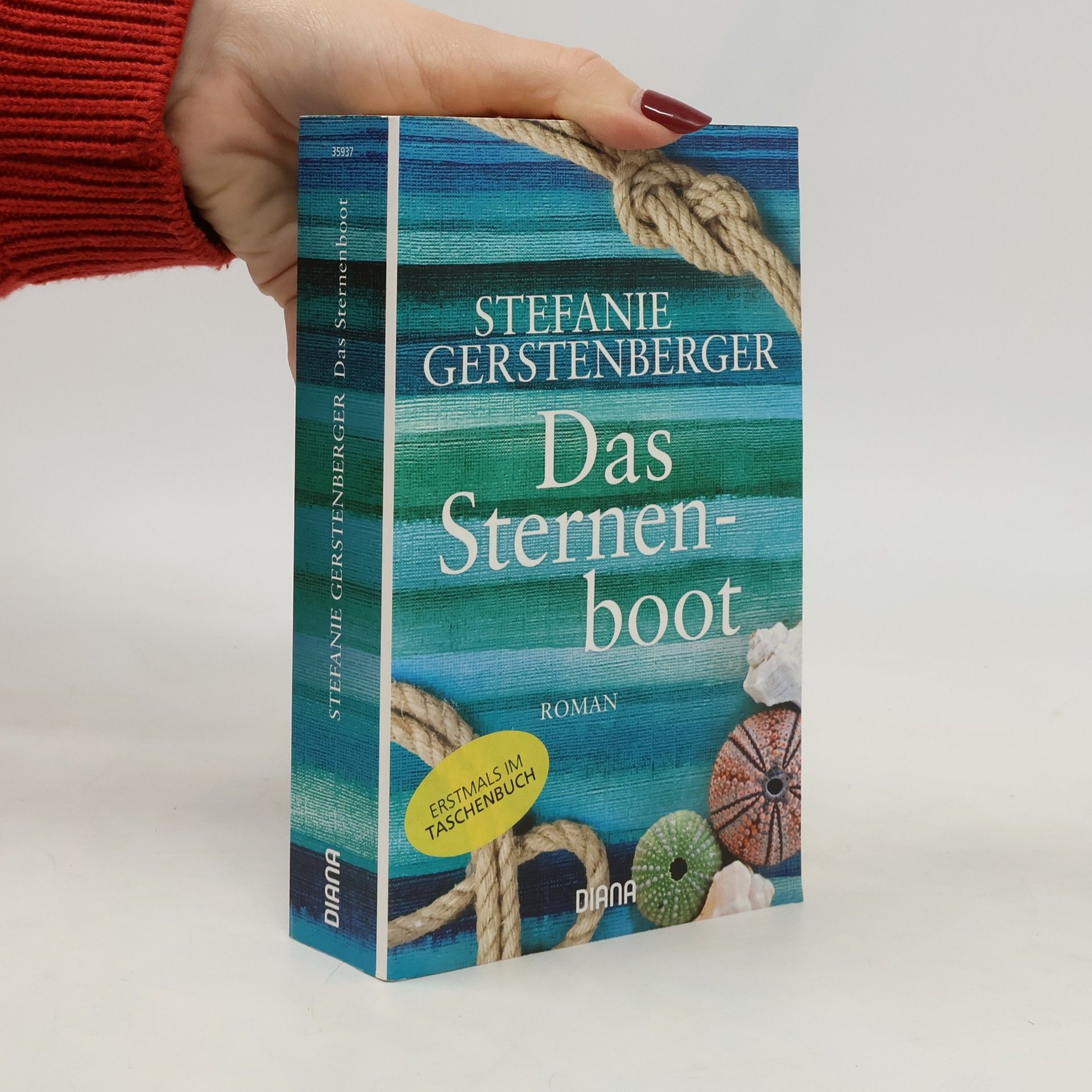 Stefanie Gerstenberger Das Sternenboot