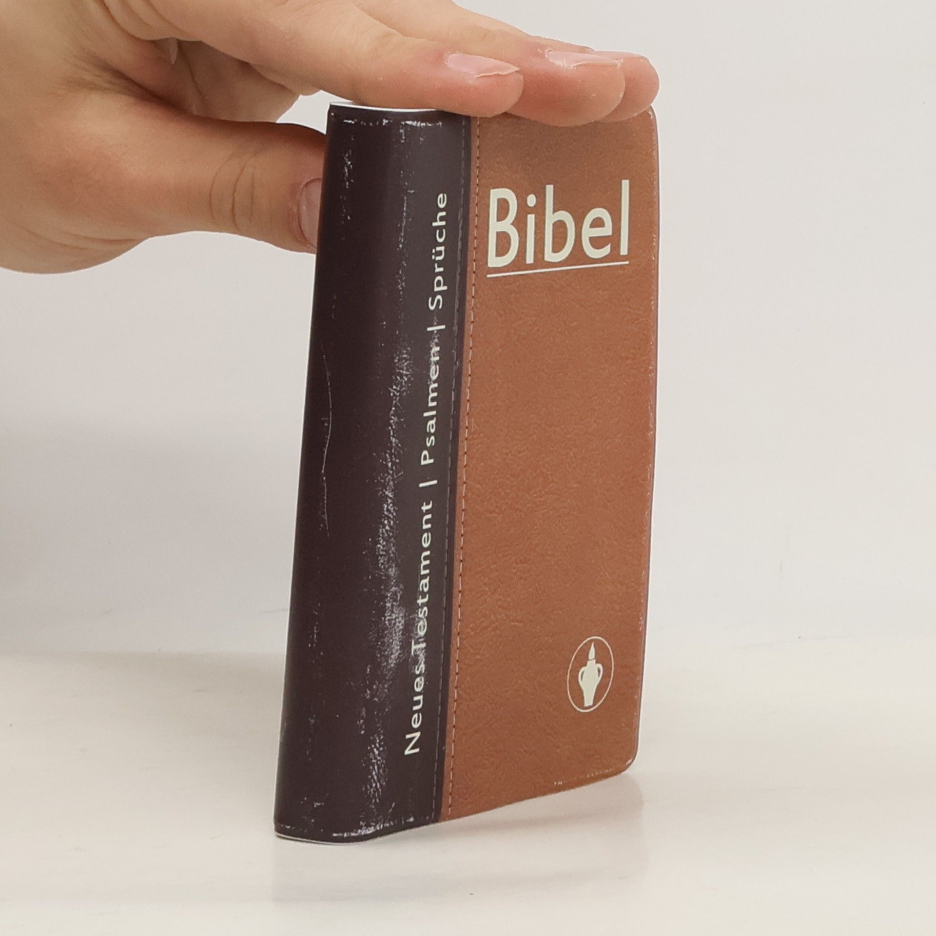 Autorenkollektiv Bibel. Neues Testament mit Psalmen Sprüchen