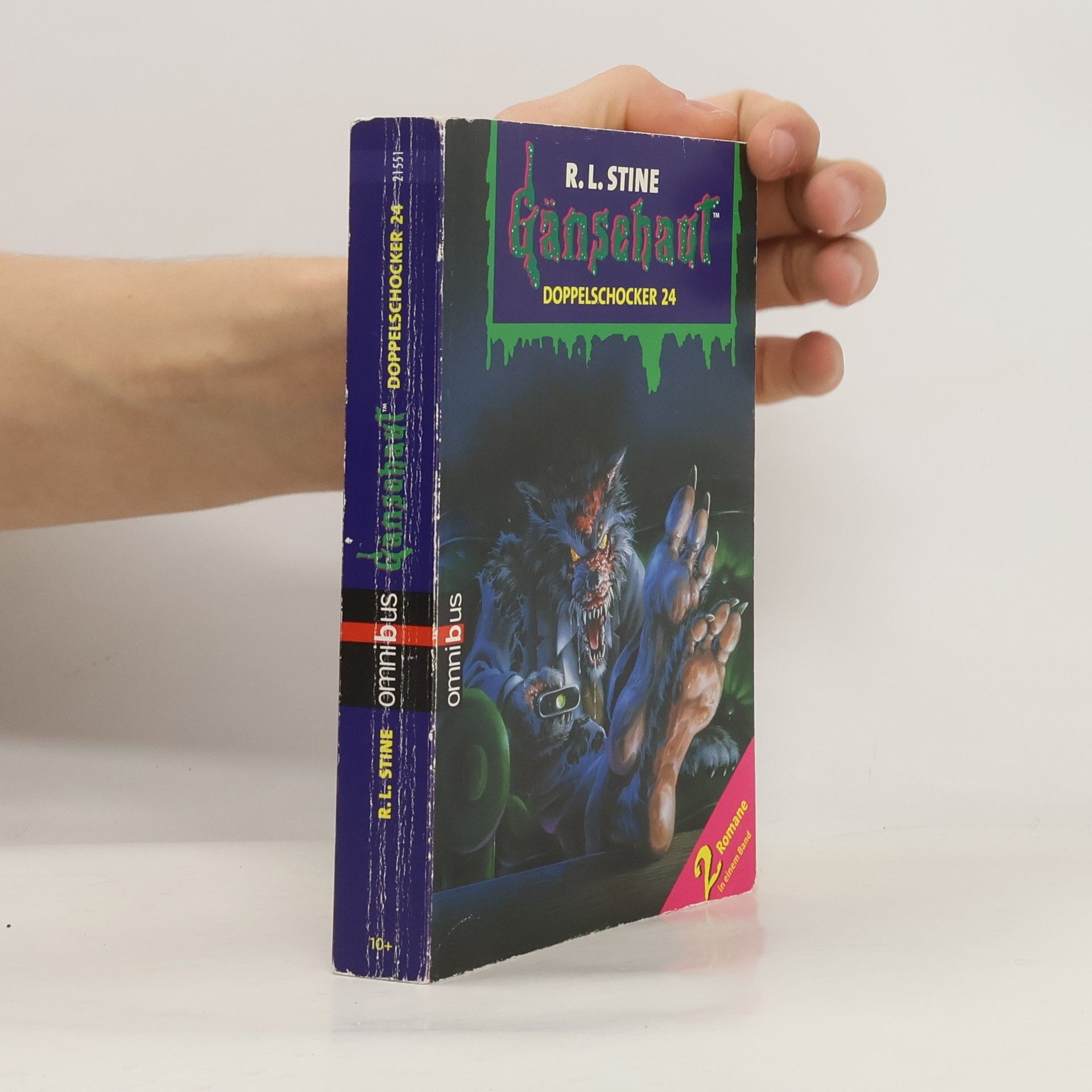 R. L. Stine Gänsehaut - Doppelschocker 24. Ab 10