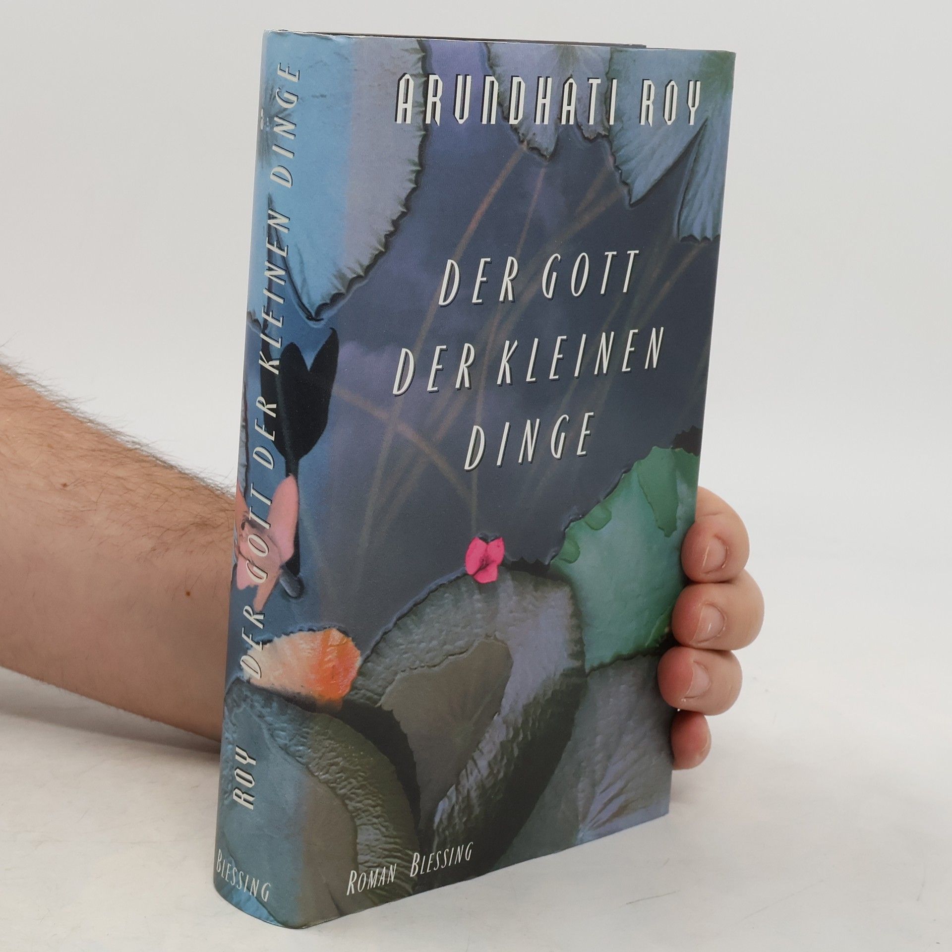 Arundhati Roy Der Gott der Kleinen Dinge