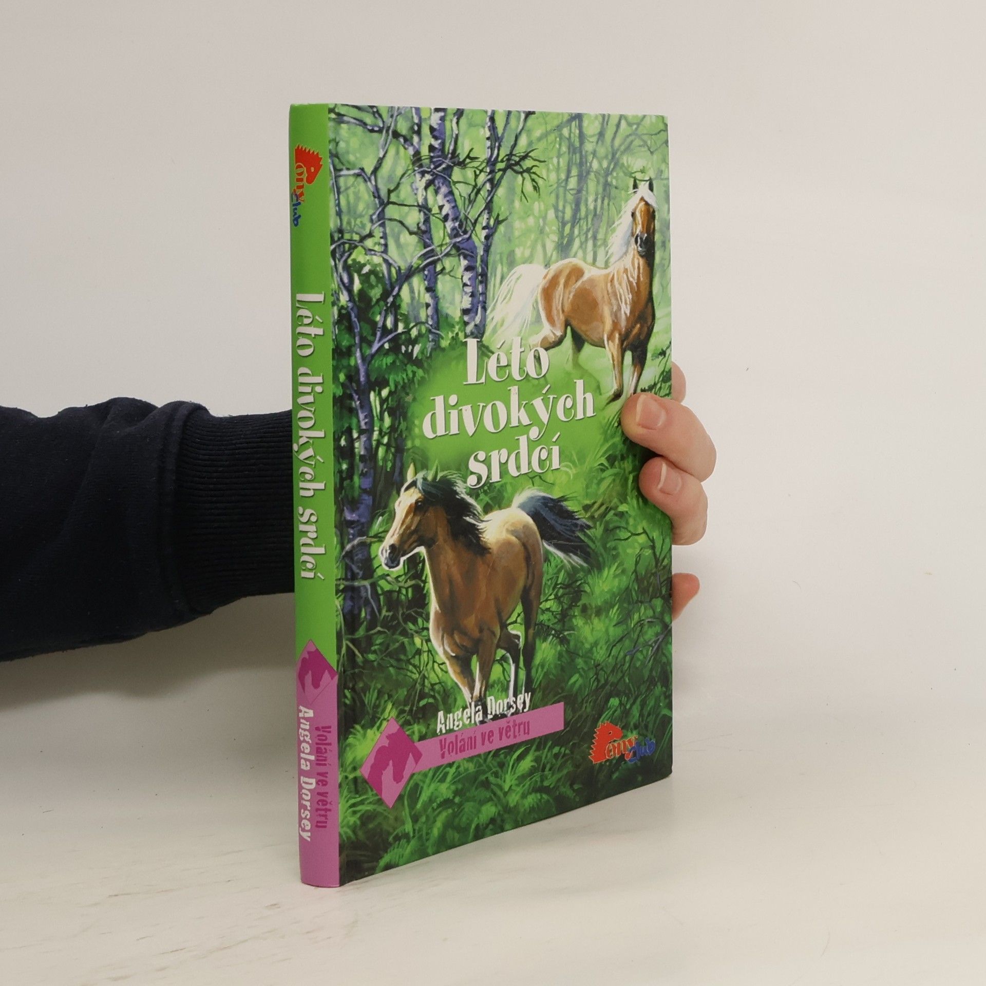 Léto divokých srdcí