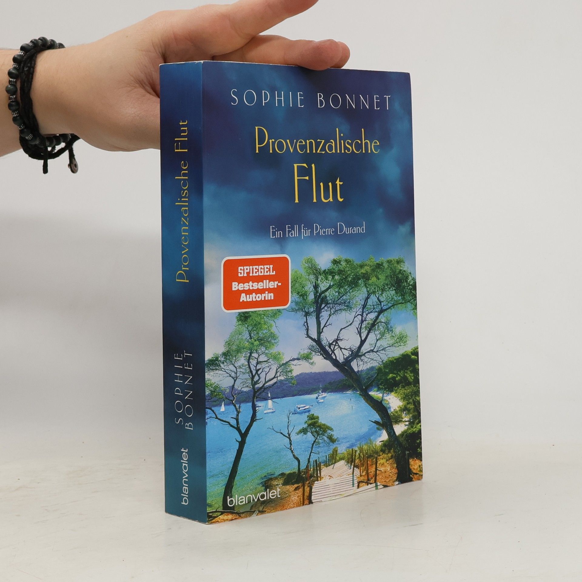 Sophie Bonnet Provenzalische Flut