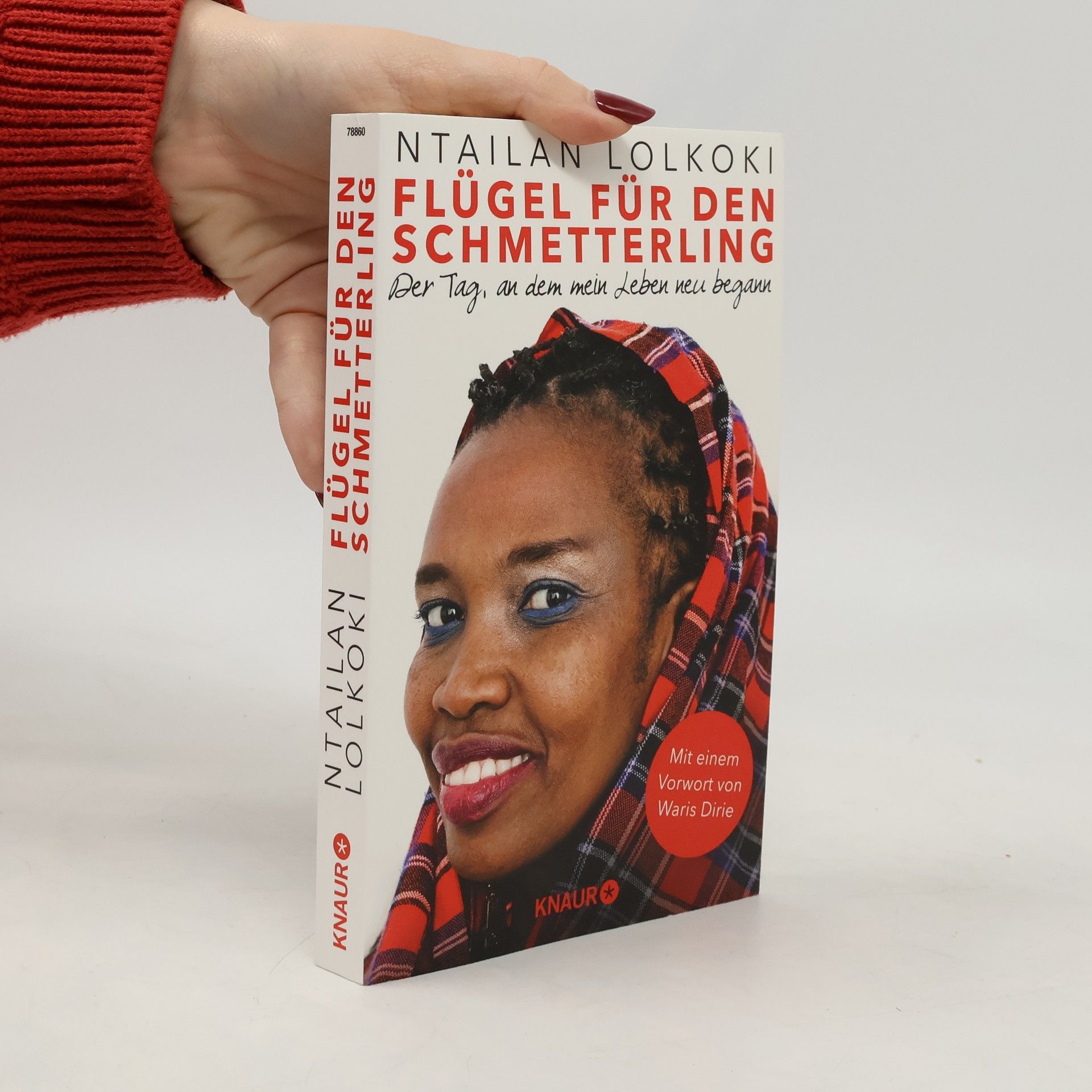 Flügel für den Schmetterling