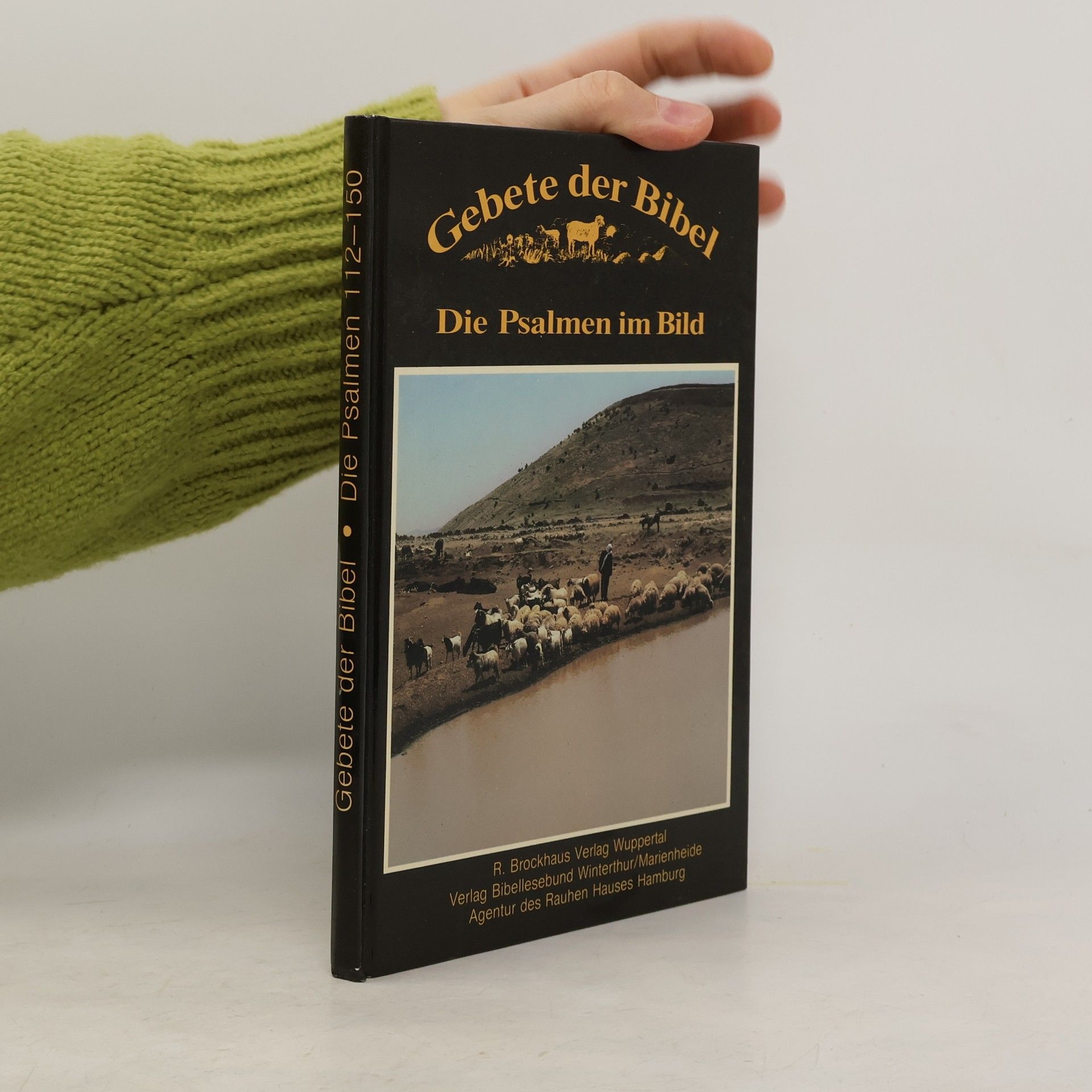 Kolektiv autorů Gebete der Bibel 4. Die Psalmen im Bild