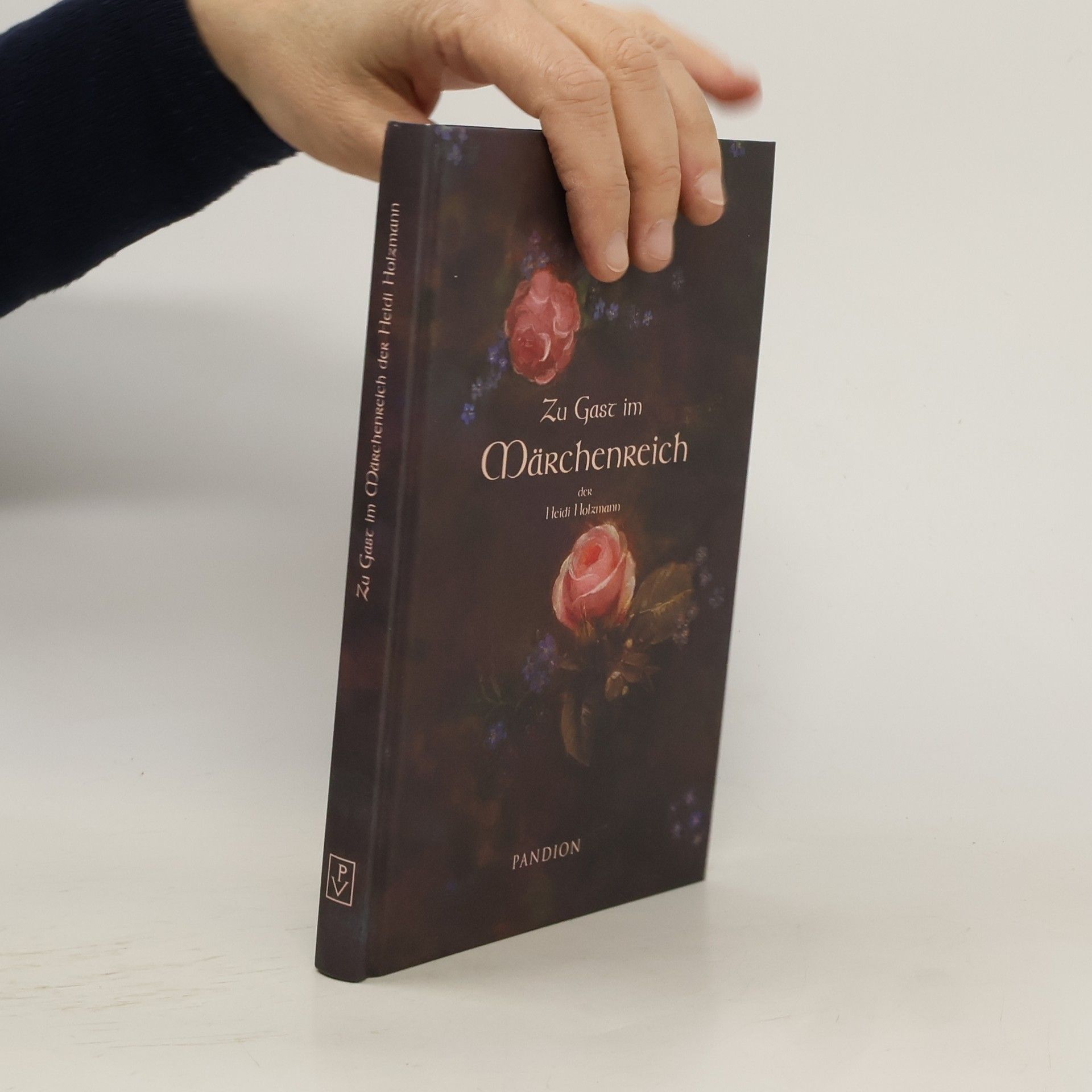 Heidi Holzmann Zu Gast im Märchenreich der Heidi Holzmann