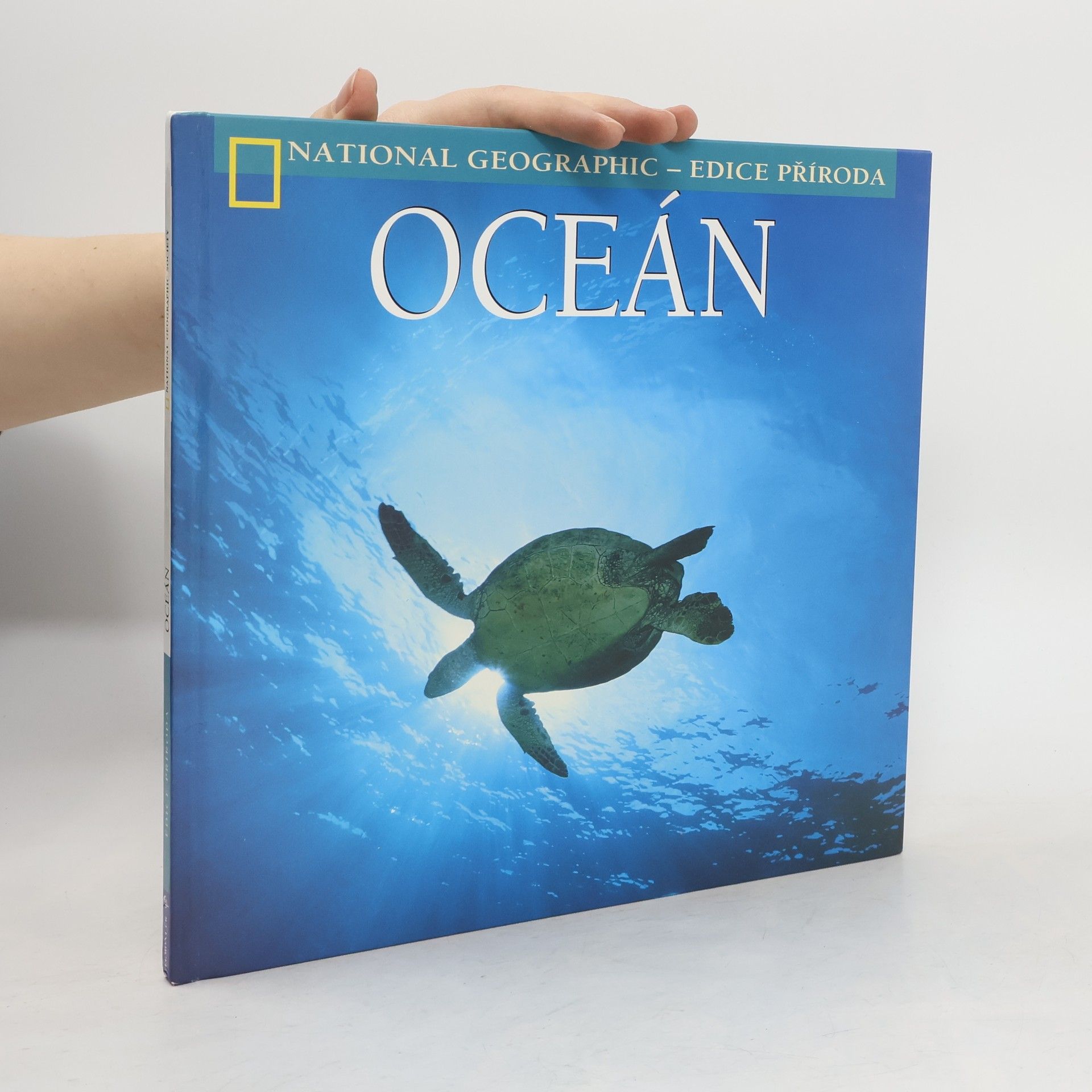 Patricia Daniels Oceán