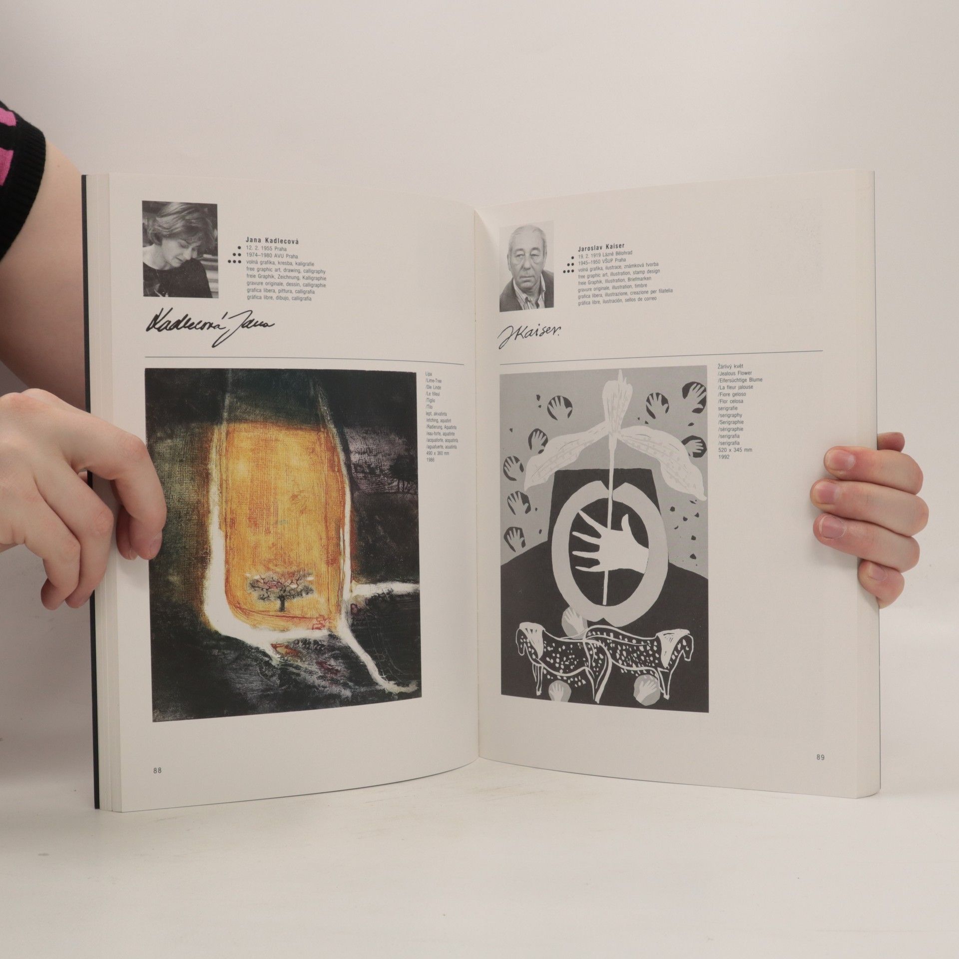 Autorenkollektiv Grafiks: Obrazová encyklopedie české grafiky osmdesátých let v šesti jazycích