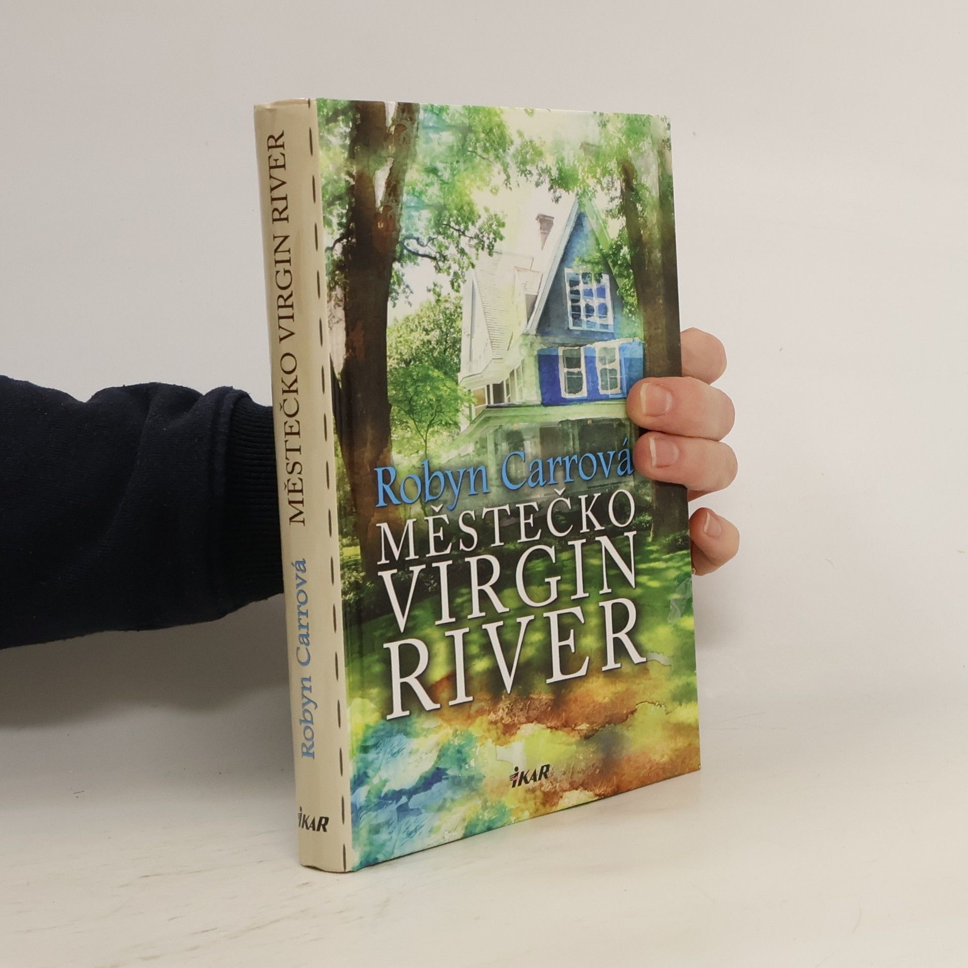 Robyn Carr Městečko Virgin River
