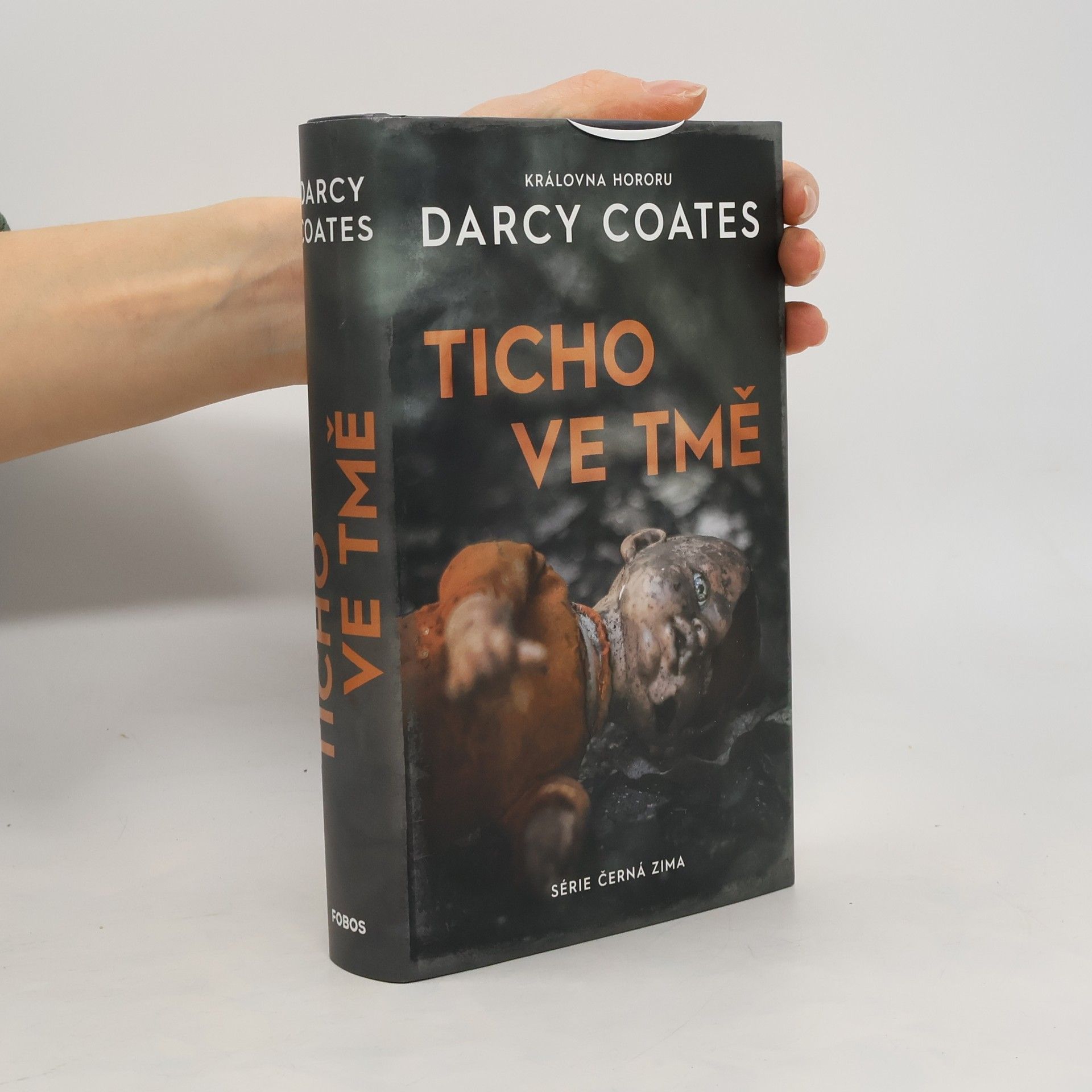 Darcy Coates Ticho ve tmě