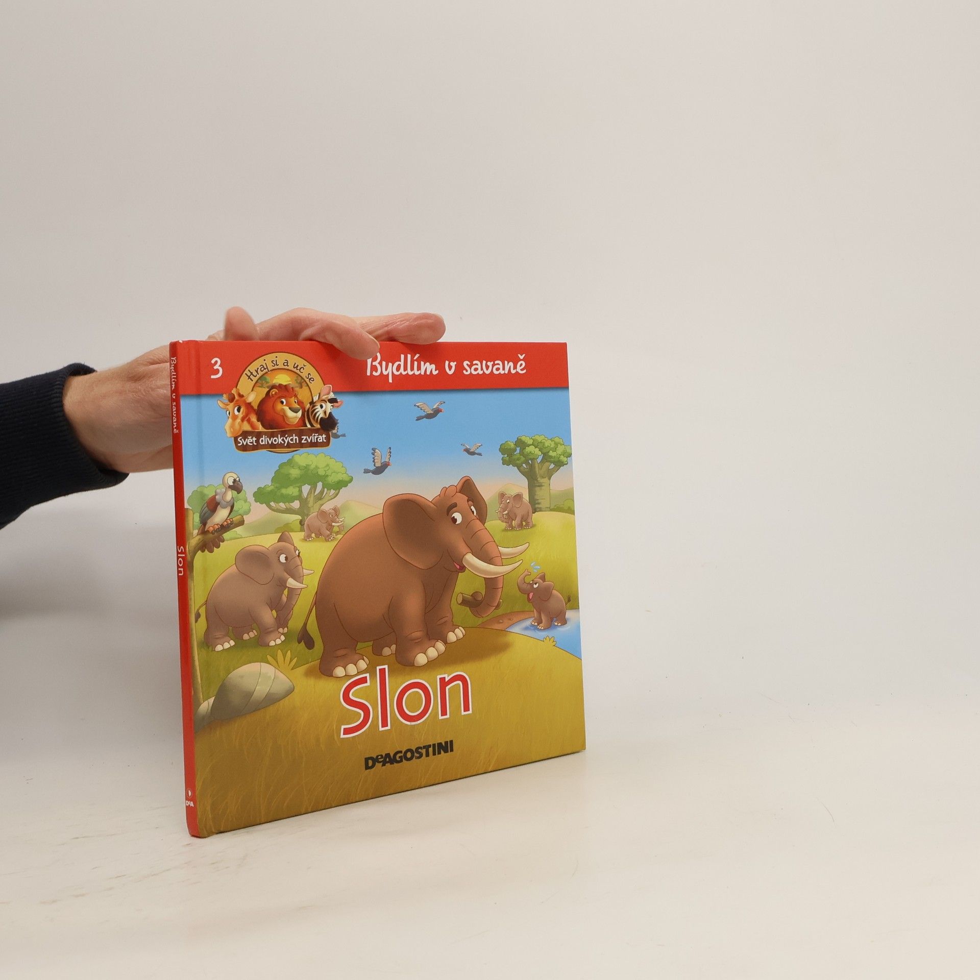 Kolektiv autorů Bydlím v savaně 3. Slon