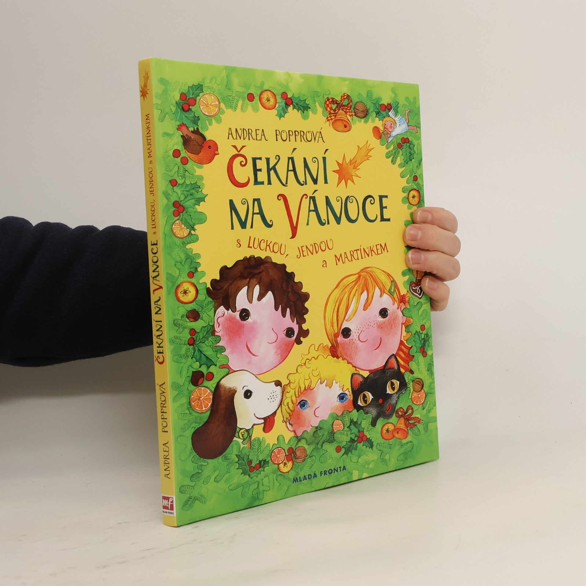 Andrea Popprová Čekání na Vánoce : s Luckou, Jendou a Martínkem