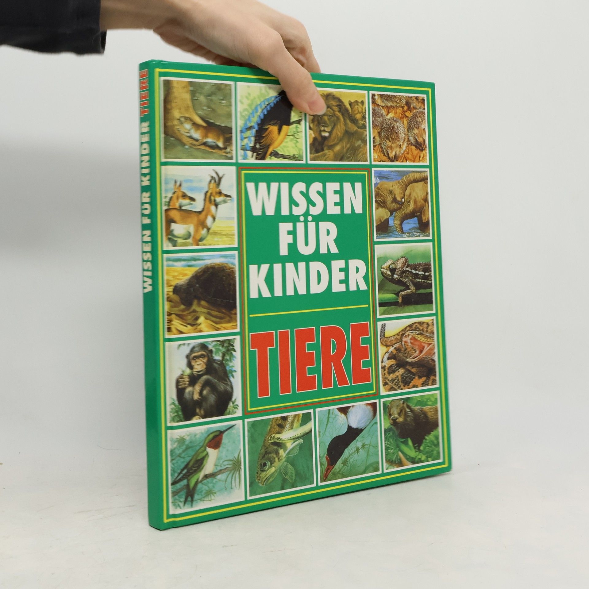Michele Stable Tiere. Wissen für Kinder