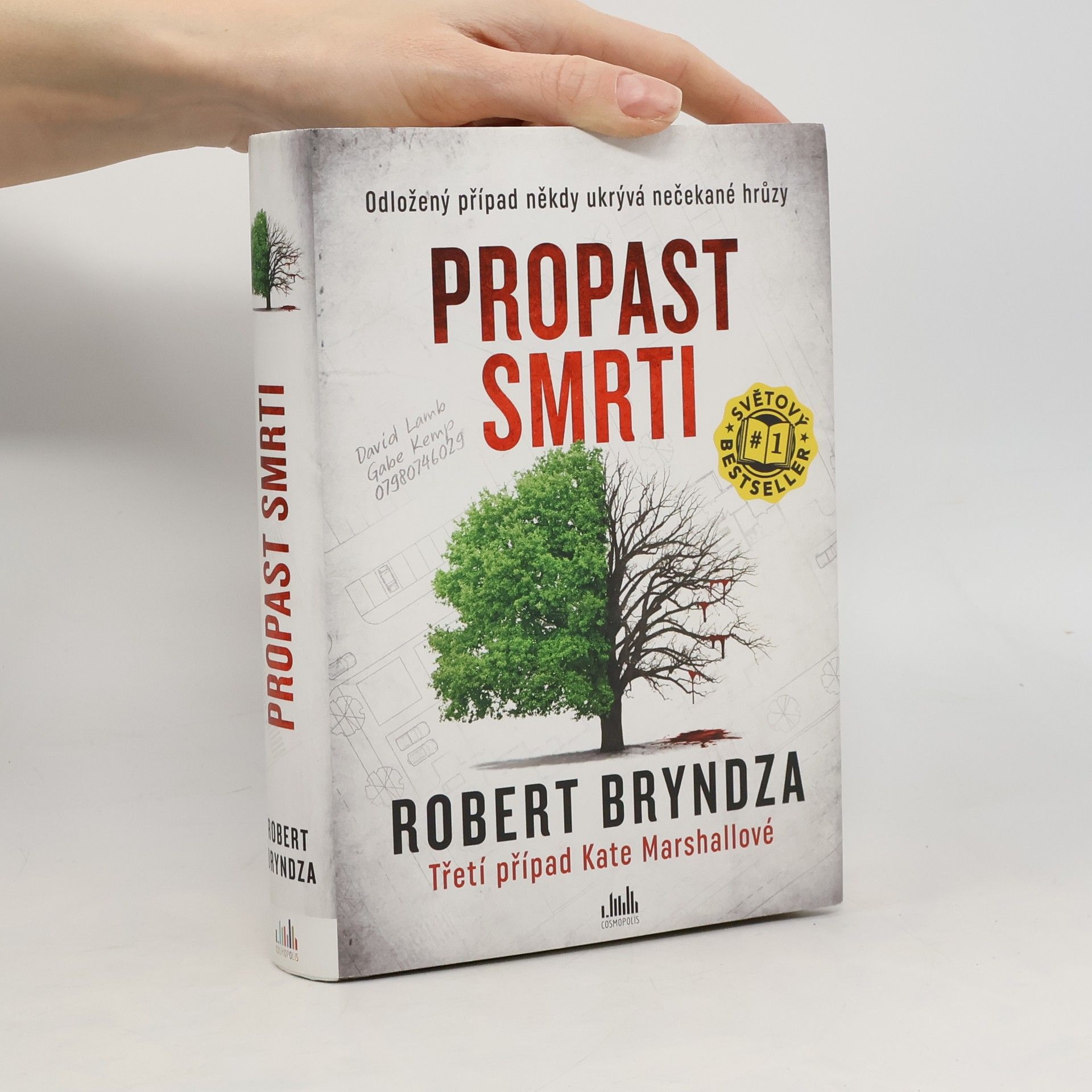 Robert Bryndza Propast smrti