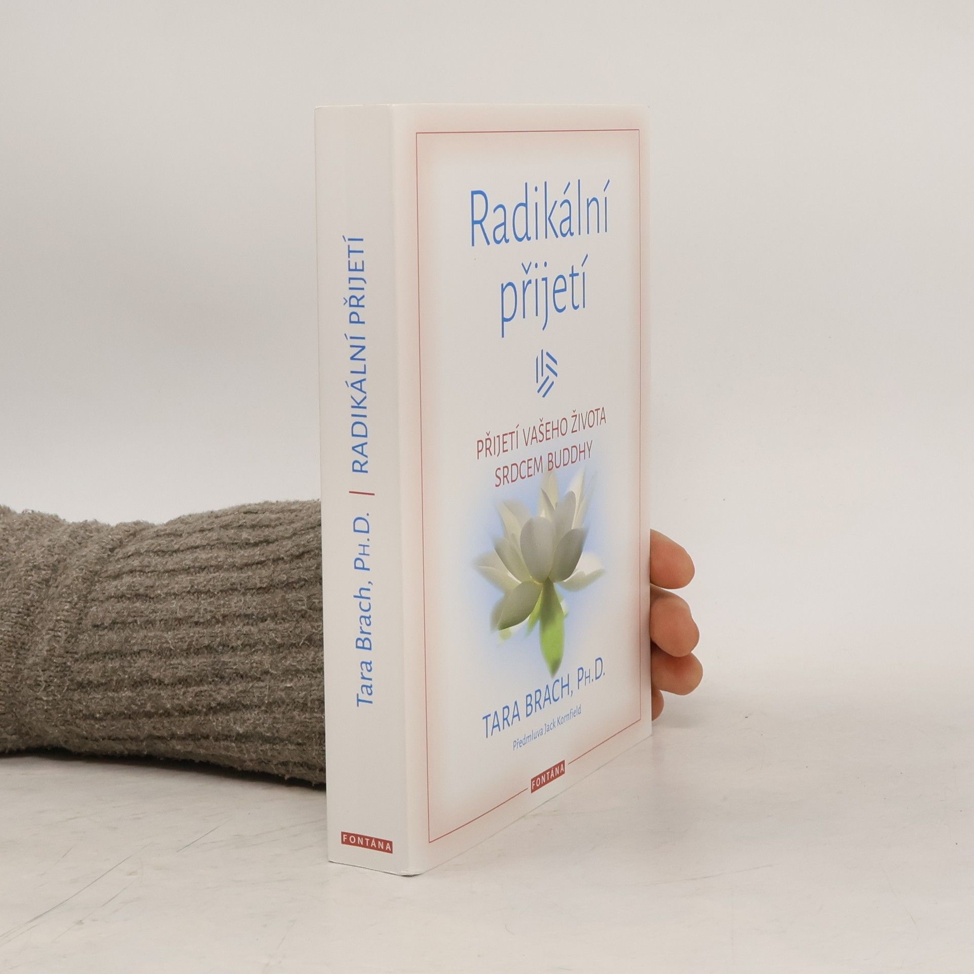 Radikální přijetí: Přijetí vašeho života srdcem Buddhy